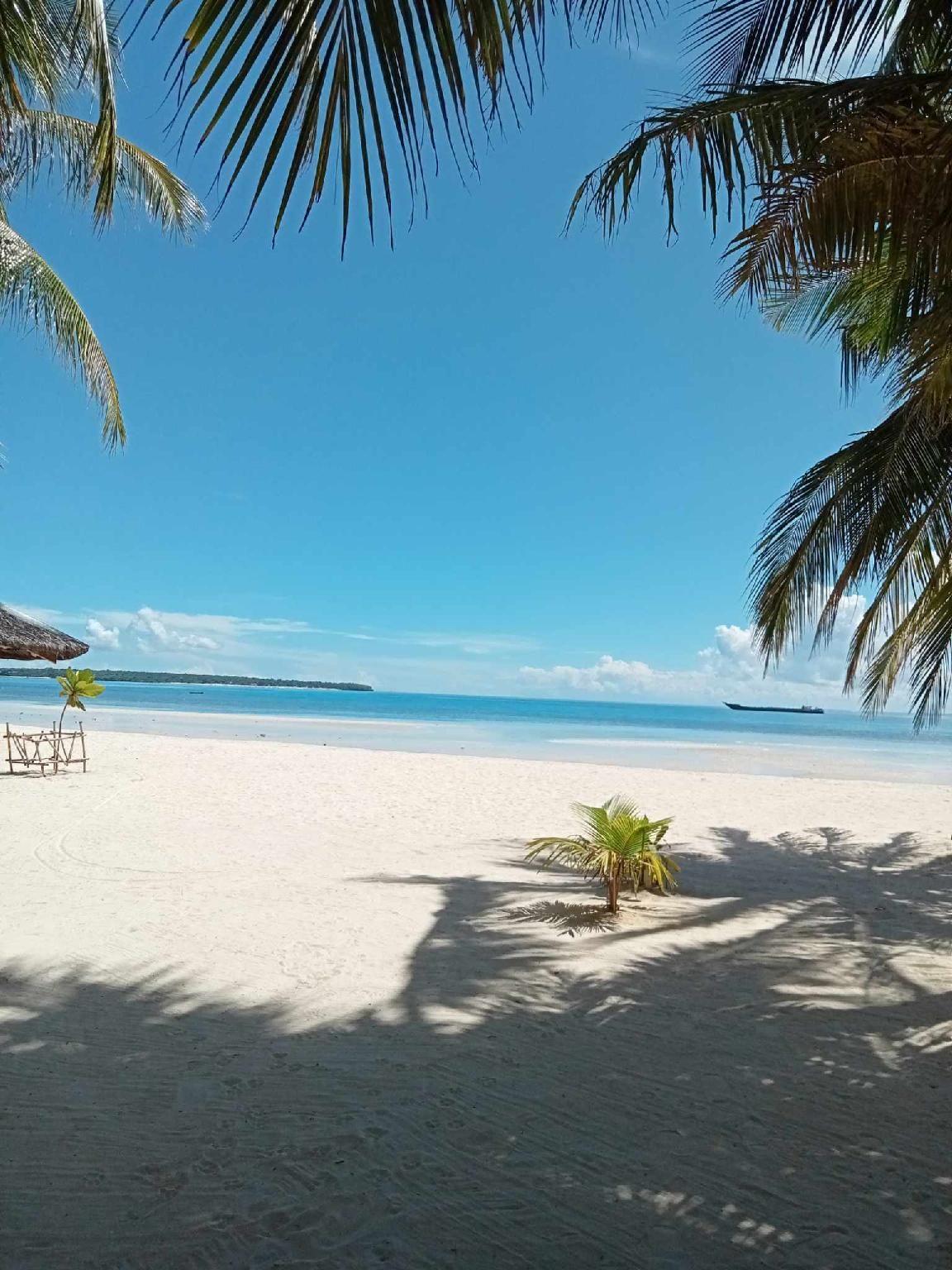 surrounding environment