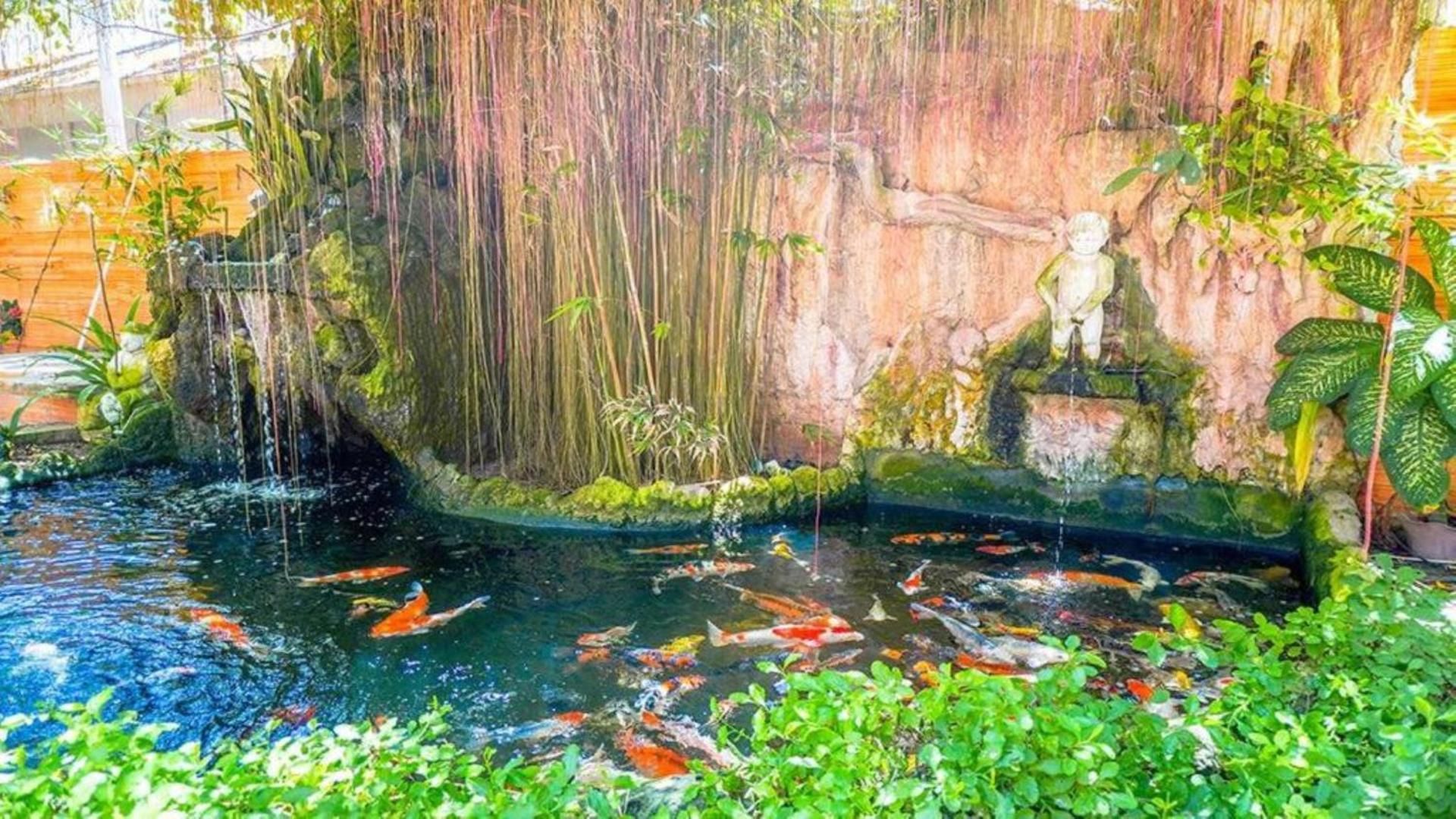 surrounding environment