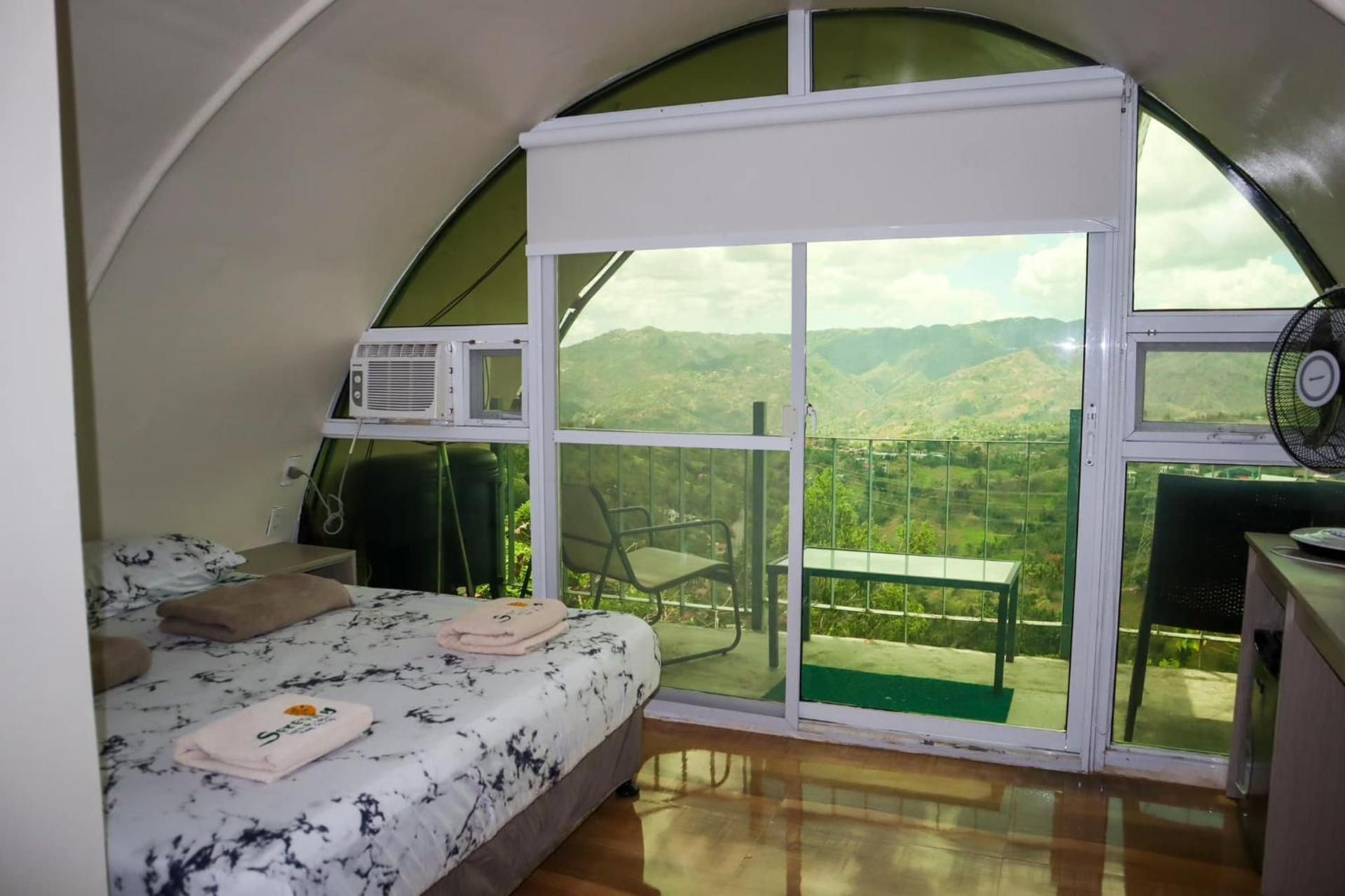 Standard Mountain View