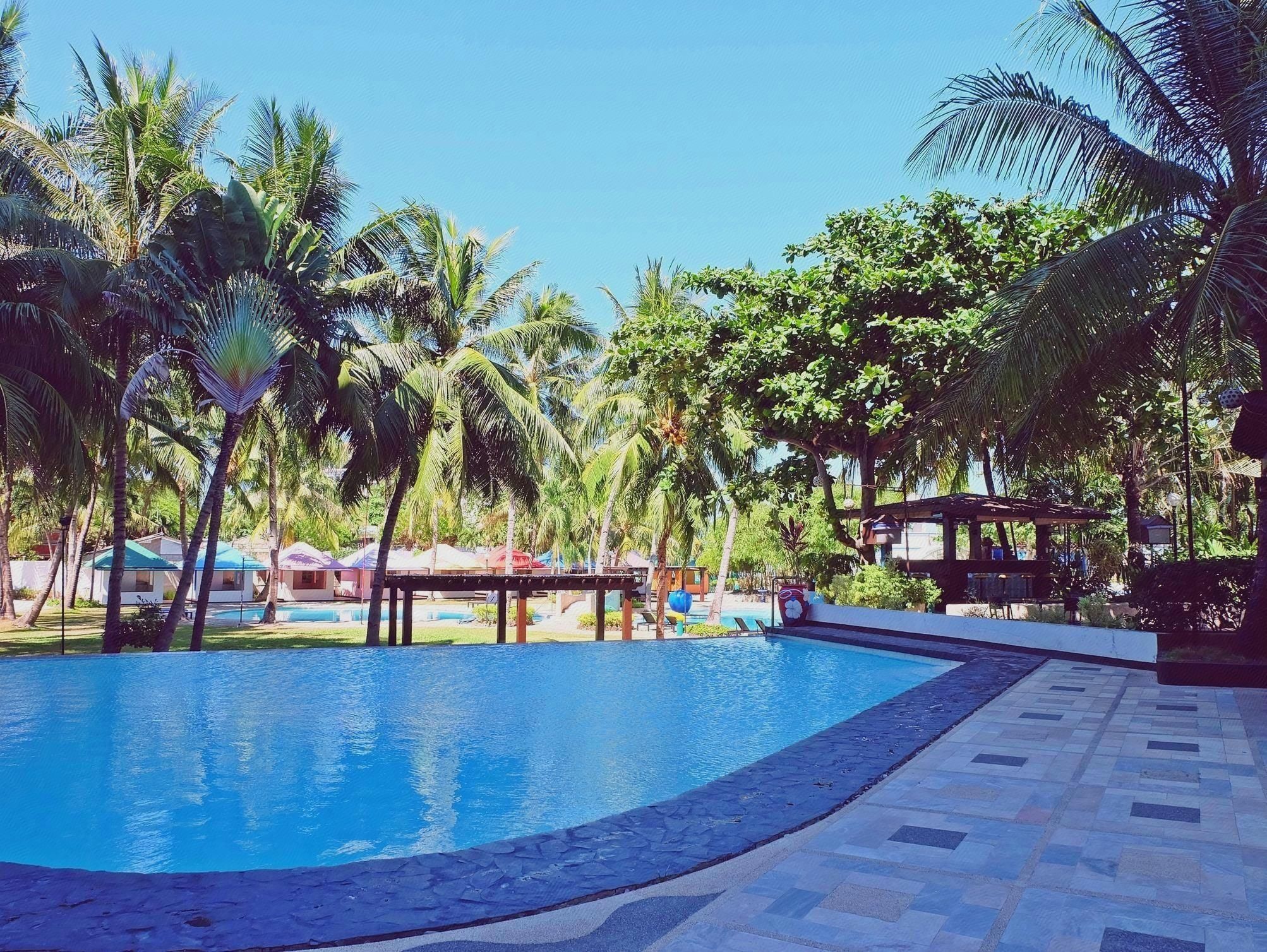 97bfbfcf87c50ff2a21489e396cb9b07