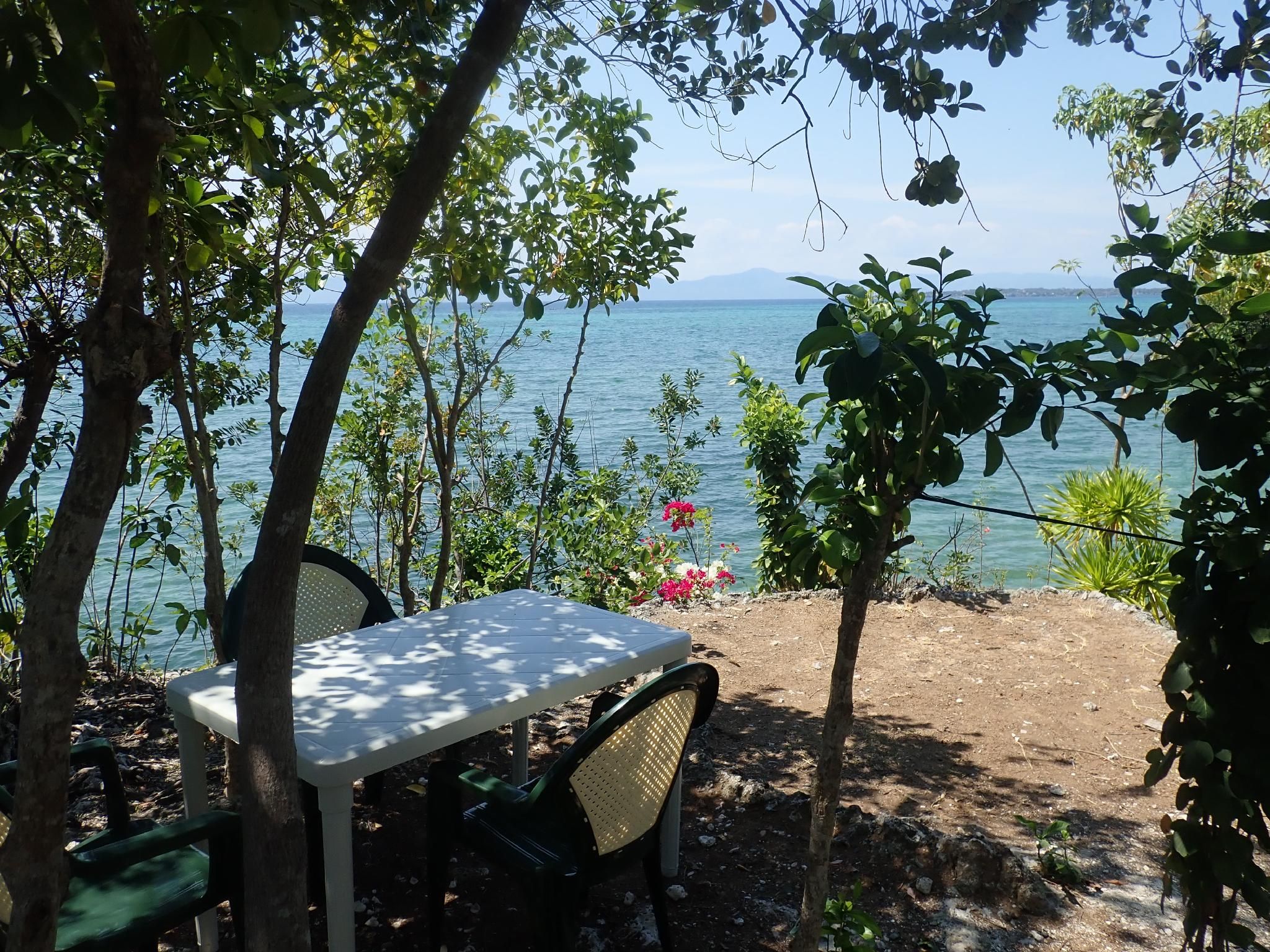 cf05b0ee4476adf4aace84878f8e0b7c