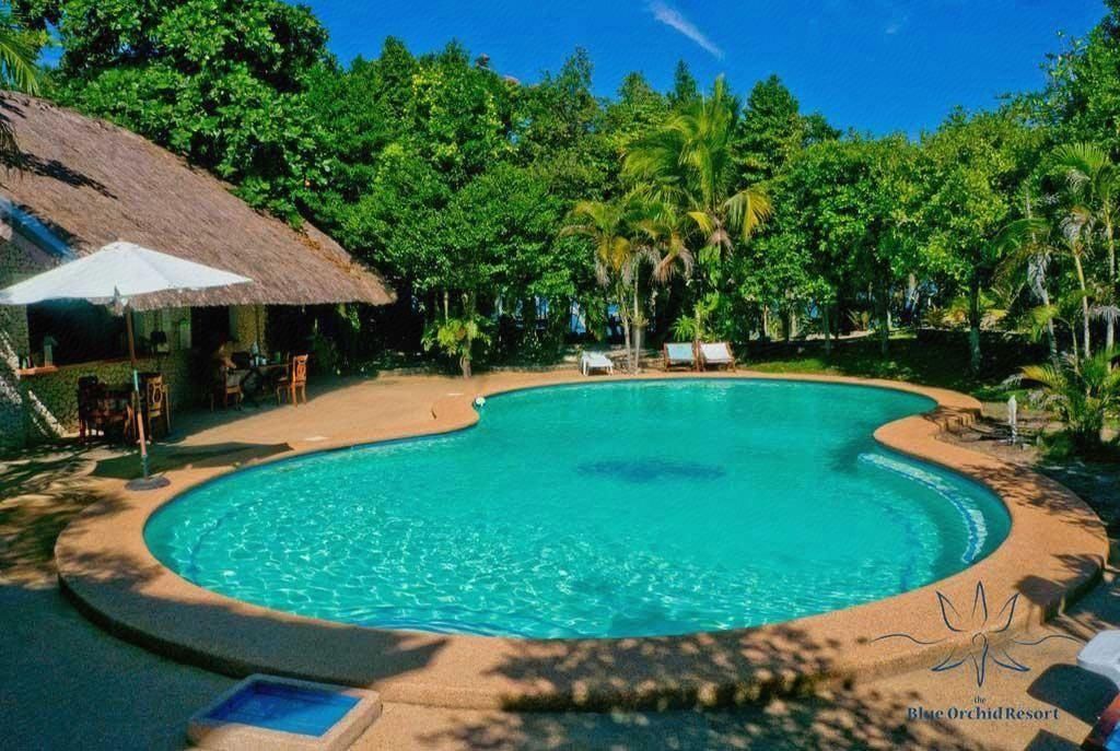 69f89d6fe1478b85089b589298ce8ef0