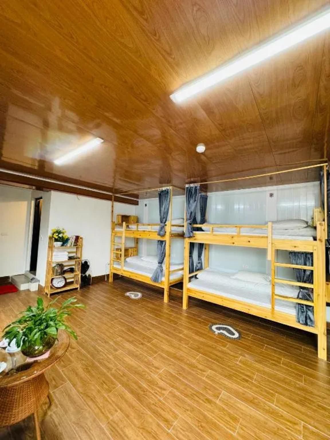 Single Bed in Mixed Dormitory Room