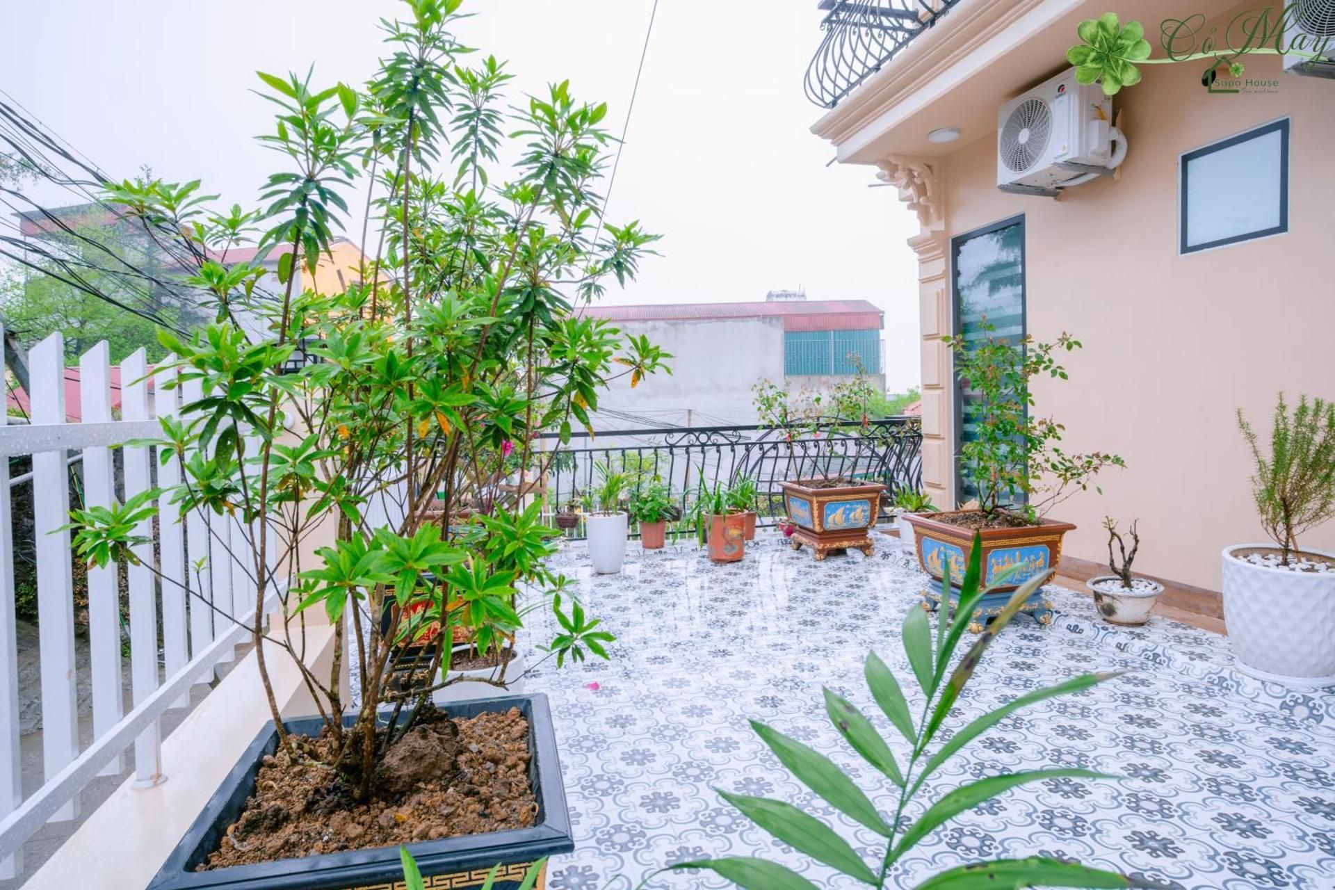 Comay Sapa House