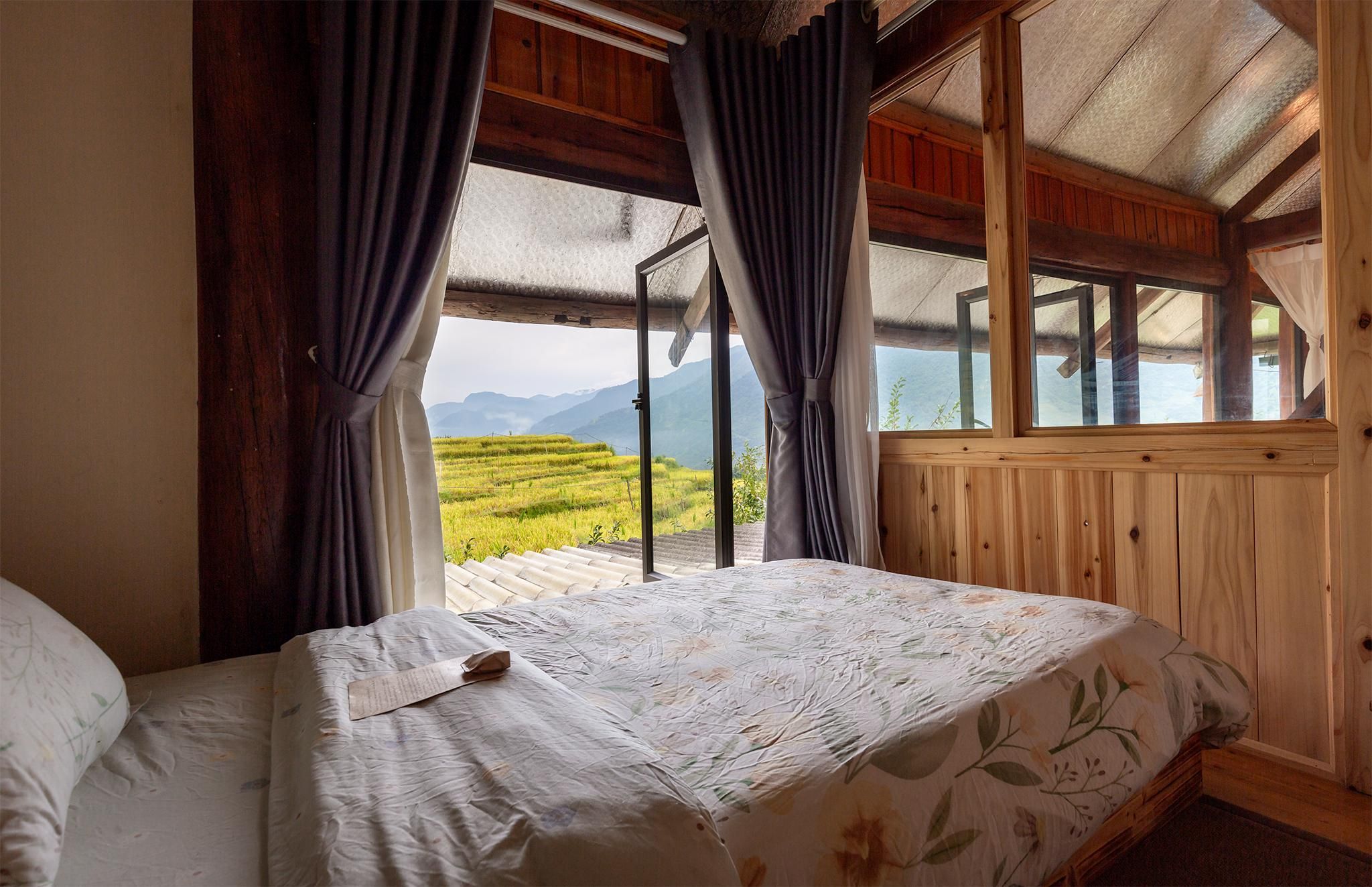 Standard Mountain View