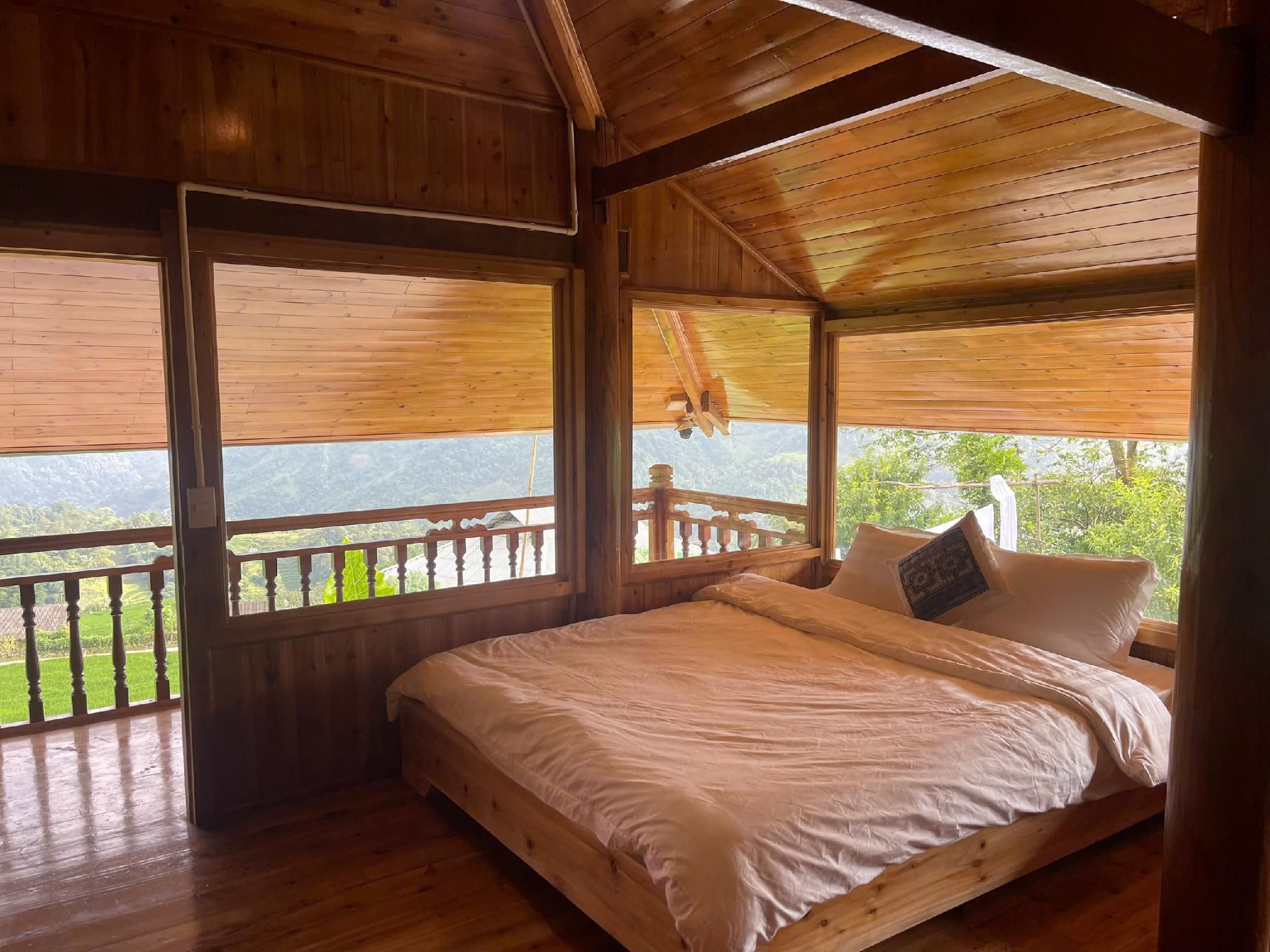 Standard Mountain View