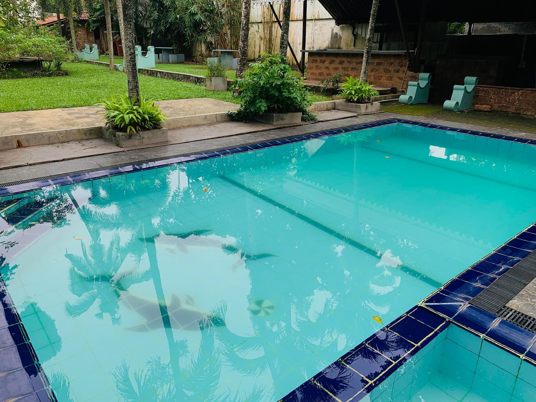 swimming pool [outdoor]