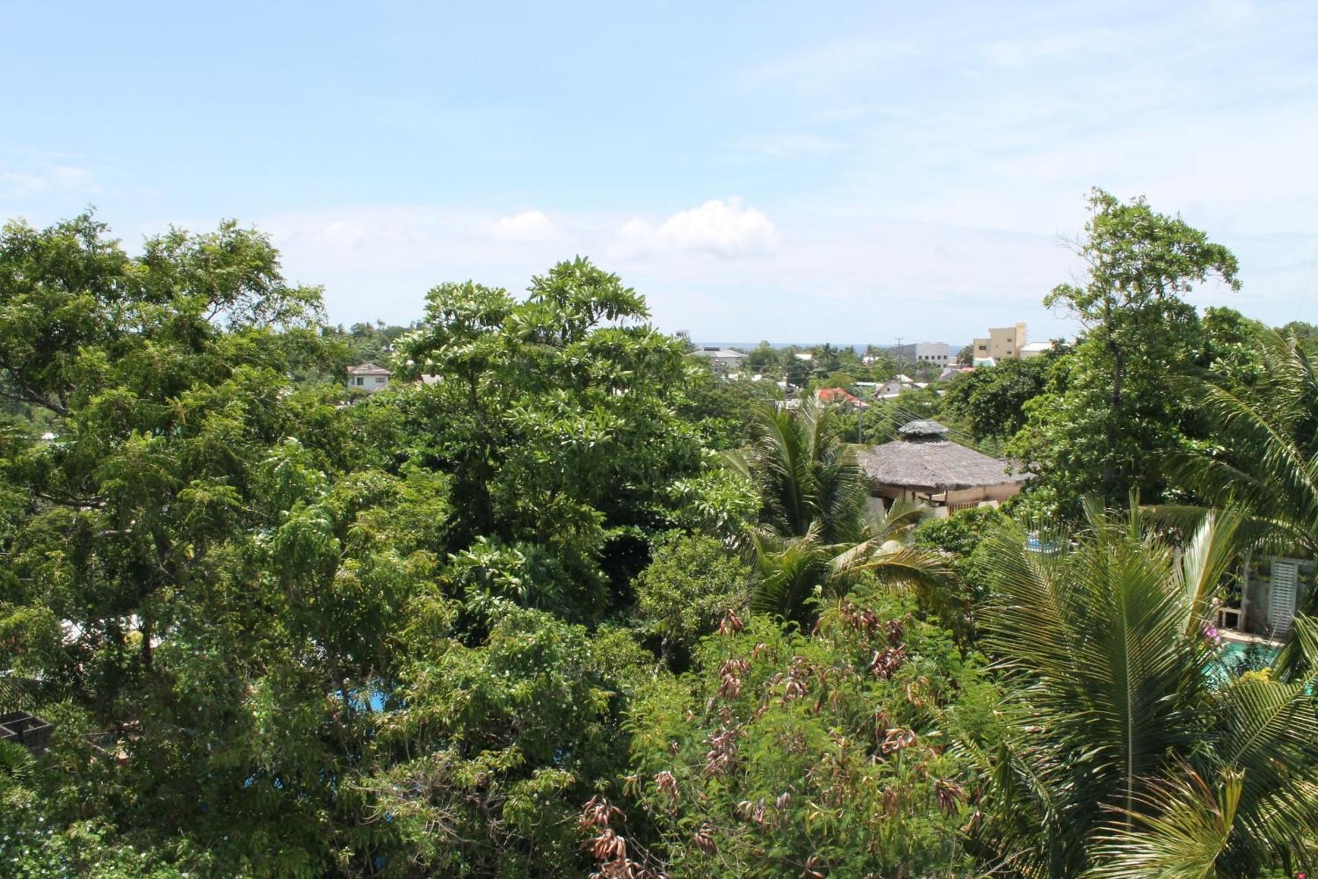 Roger's Place Guesthouse