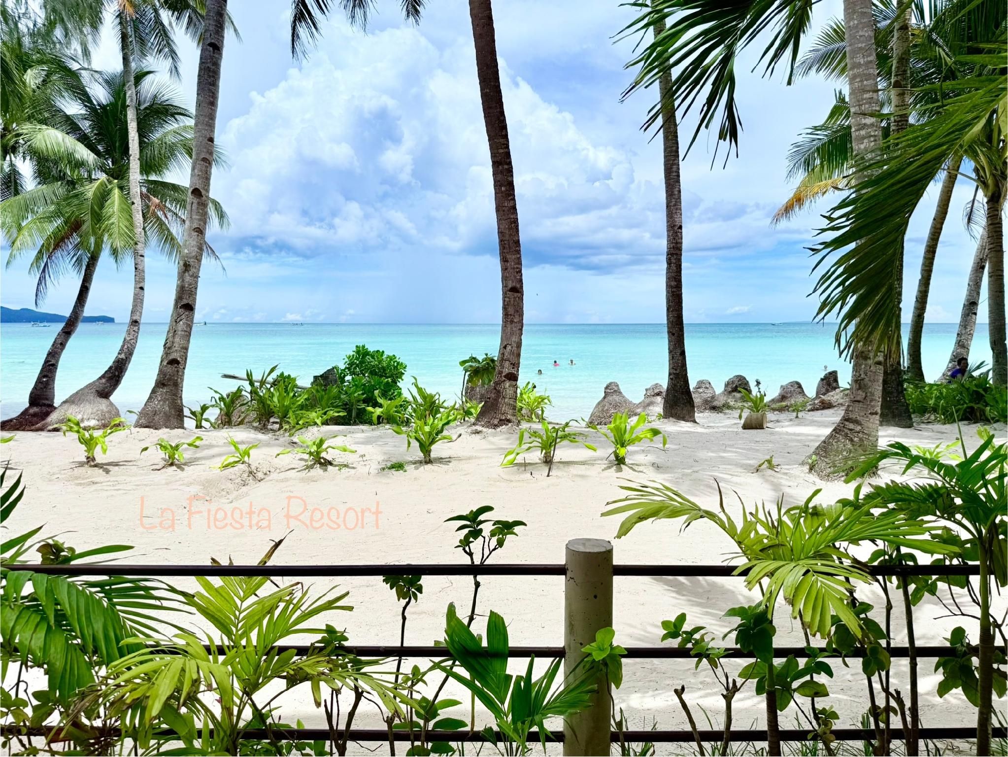 91b07b102af85a37d9af9a03692c9837