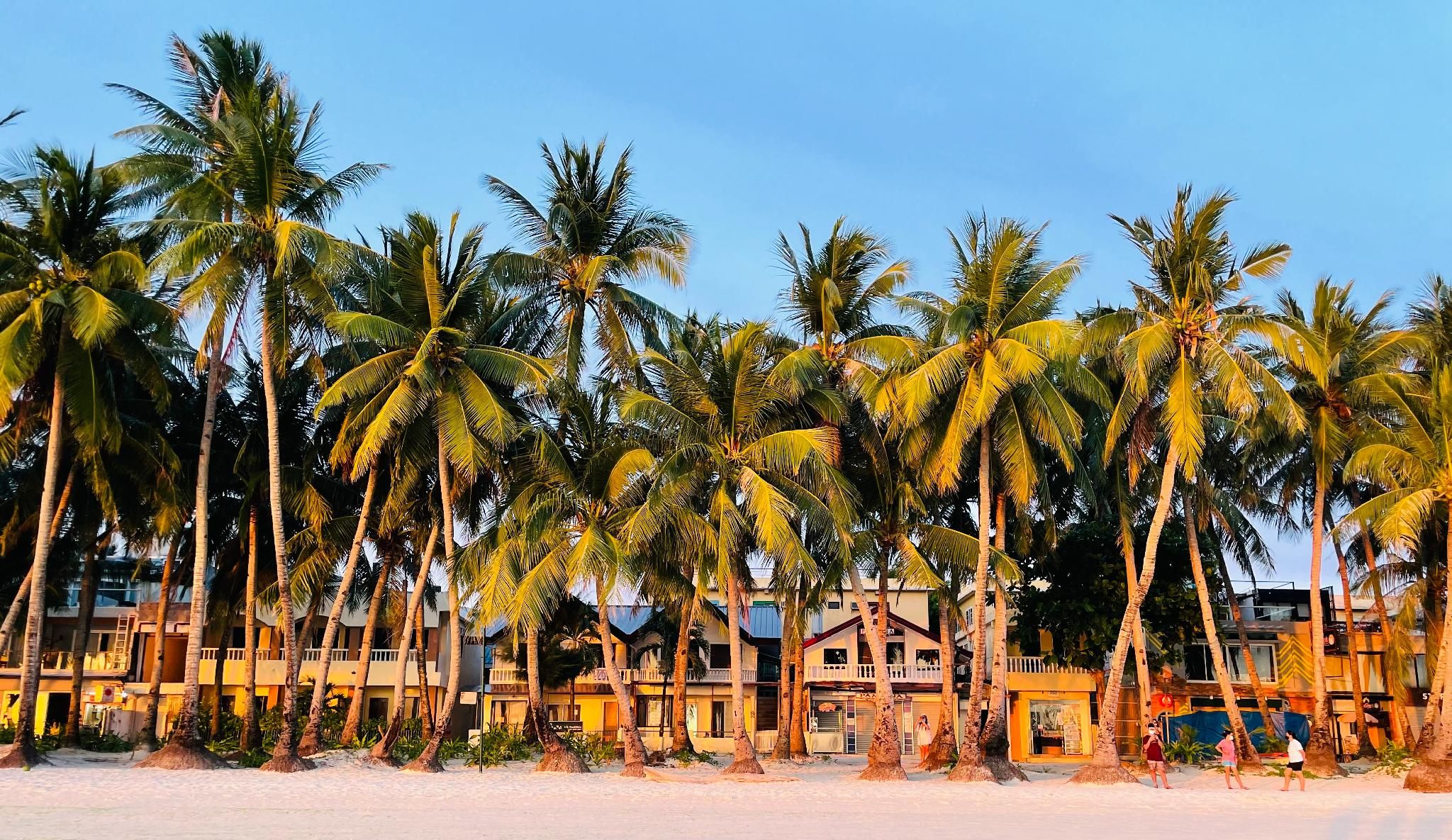 a45c434628bfd98842b882ce8aa72636