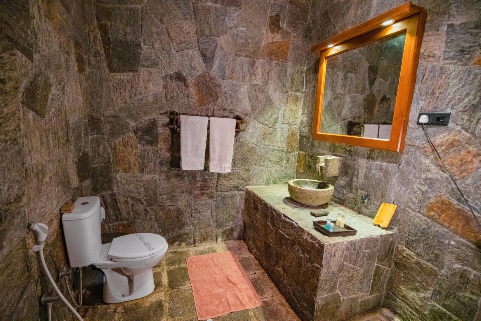 Deluxe Double or Twin Room with River View