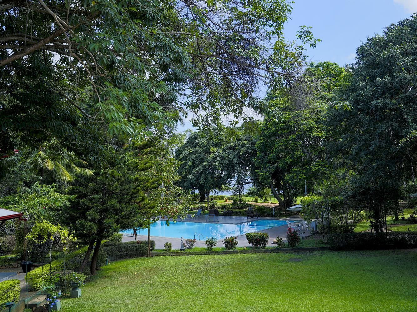 swimming pool [outdoor]