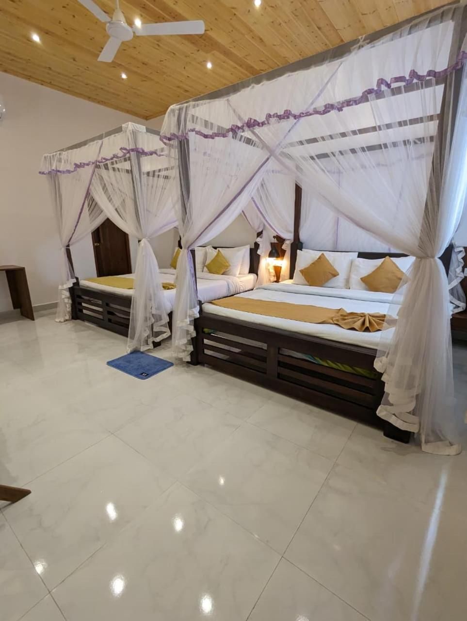 Triple Room with View