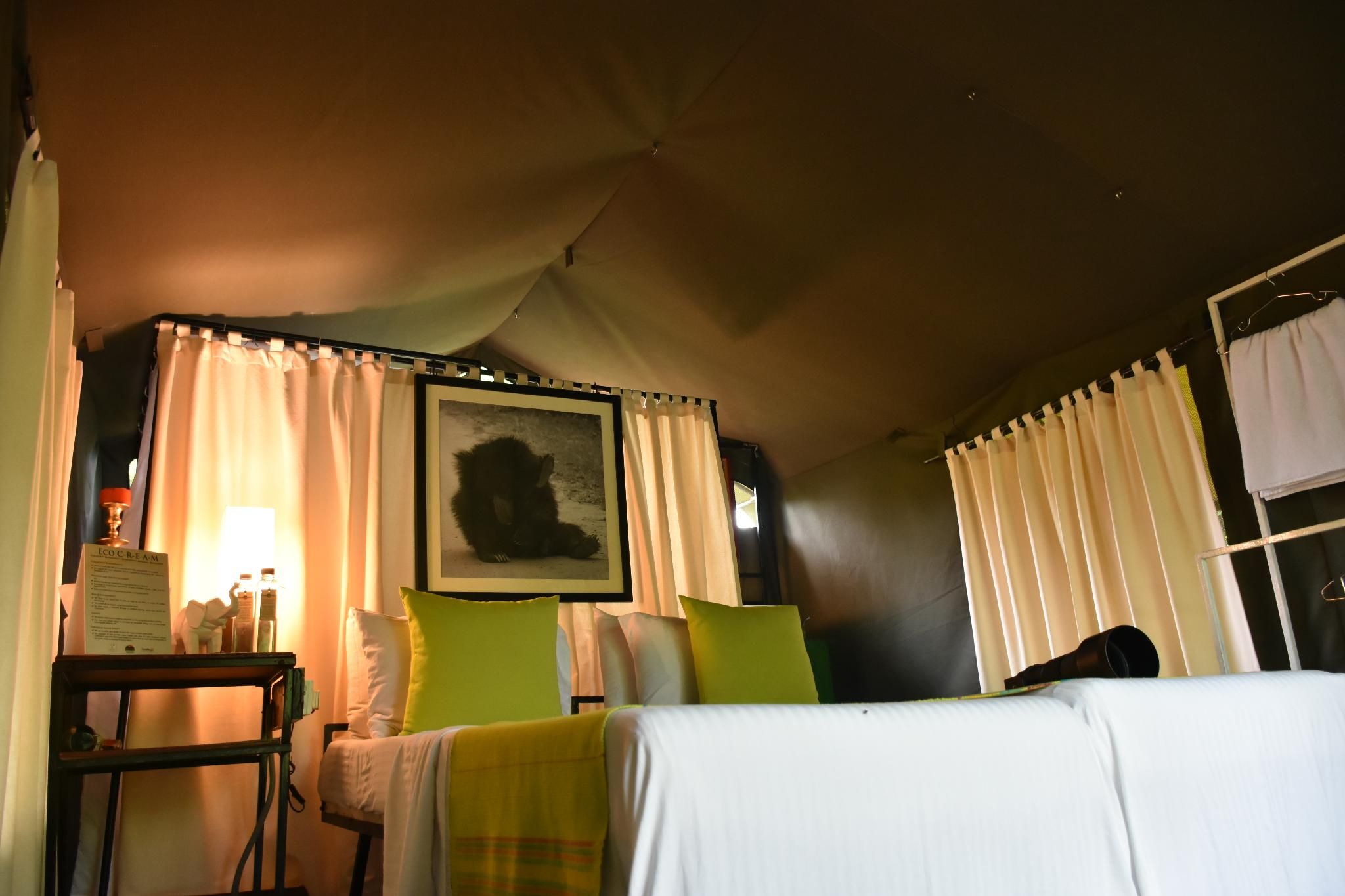 Glamping Suite