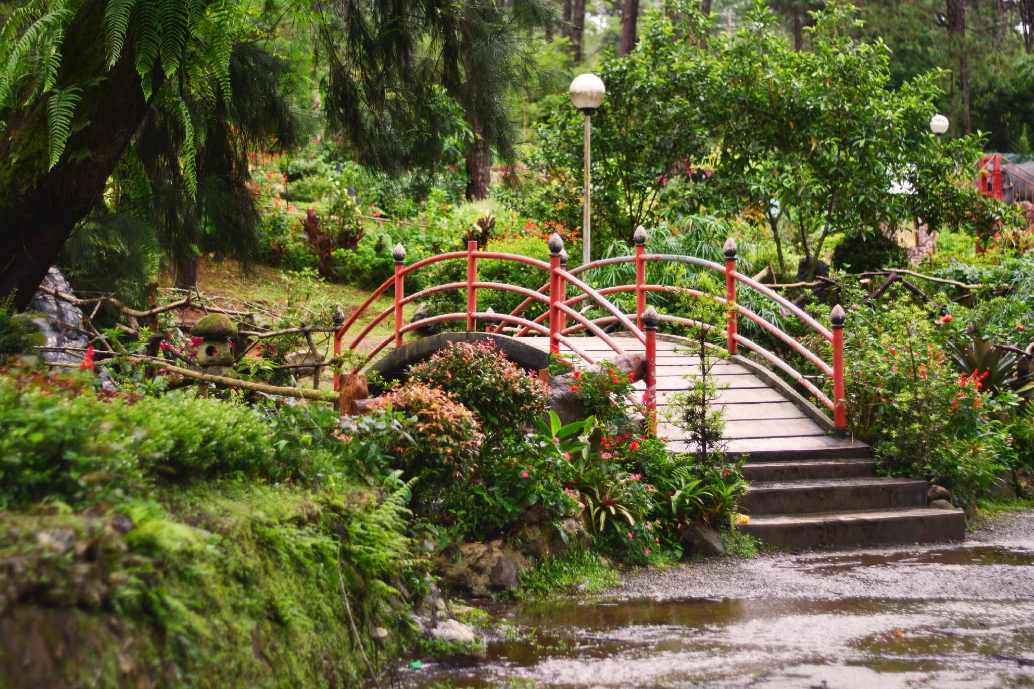 Harmony Breeze Transient Baguio