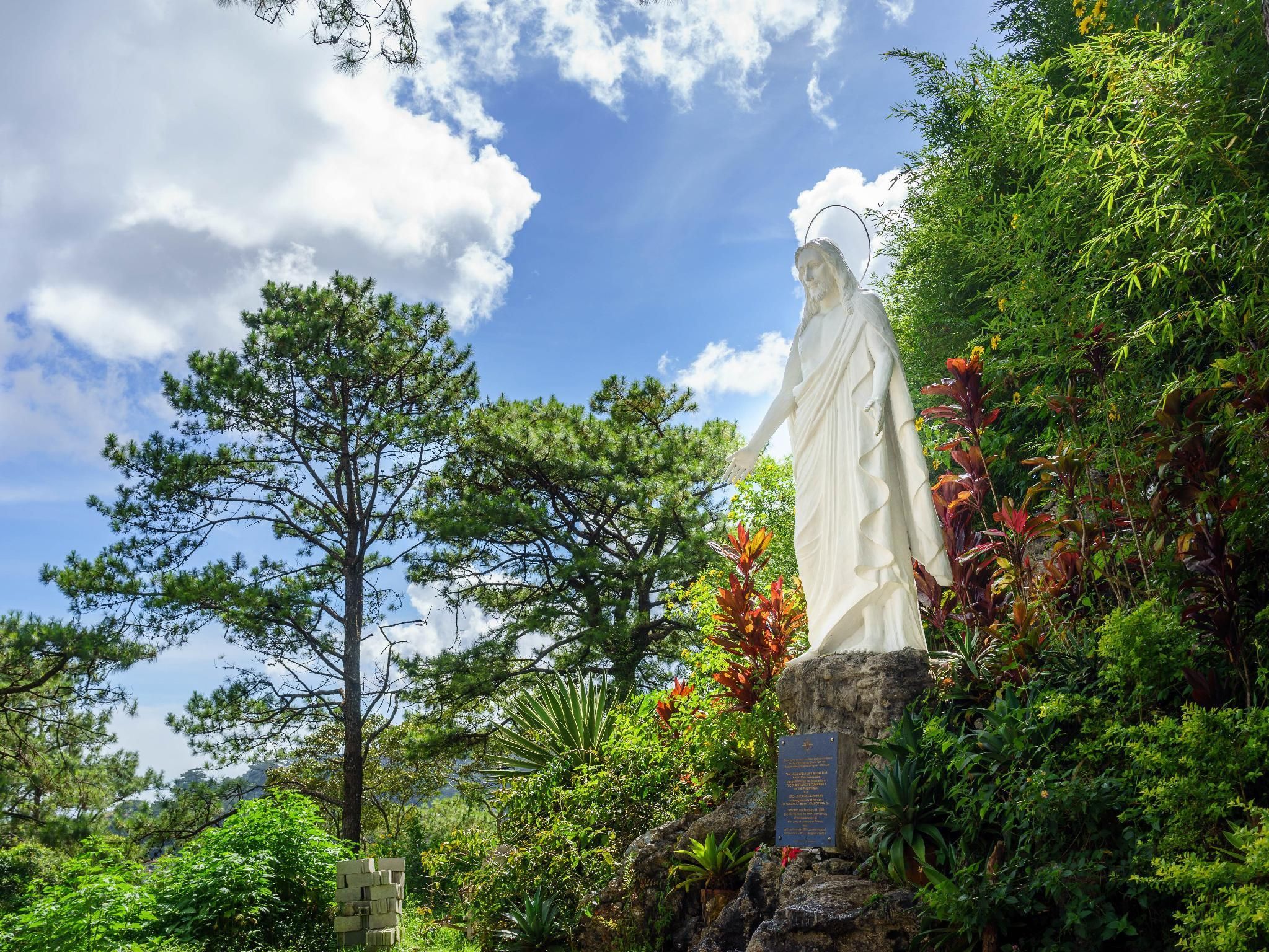 Ardenias transient house