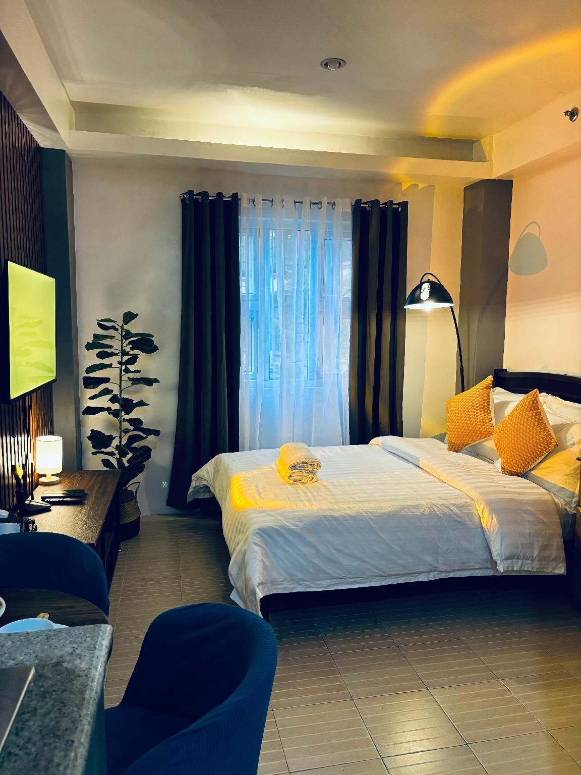 Studio - Entire house or apartment