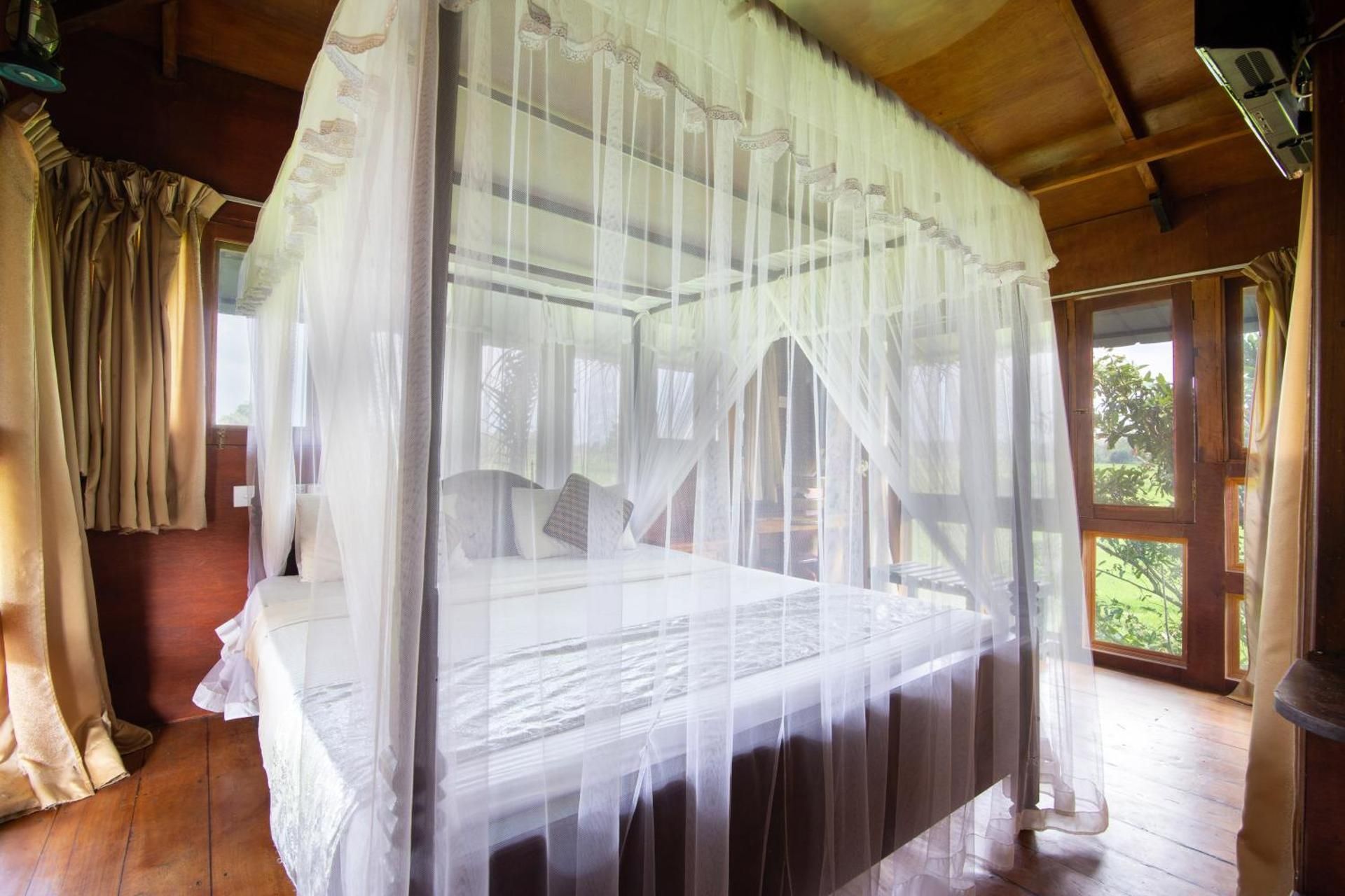 Tree House
