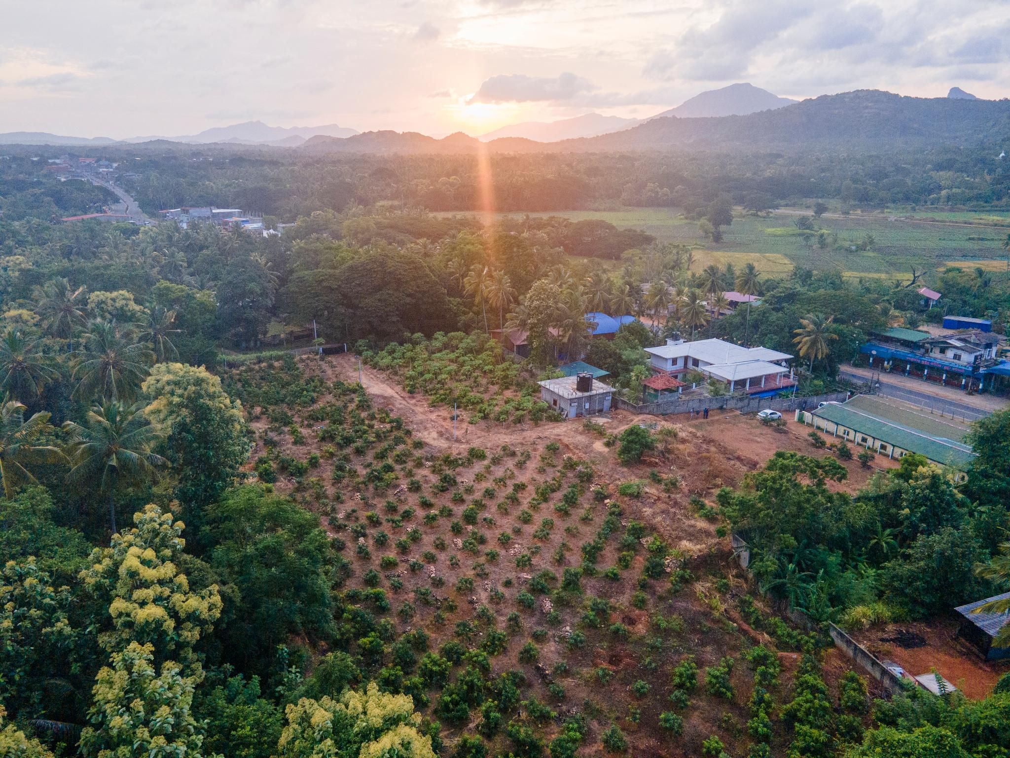 surrounding environment