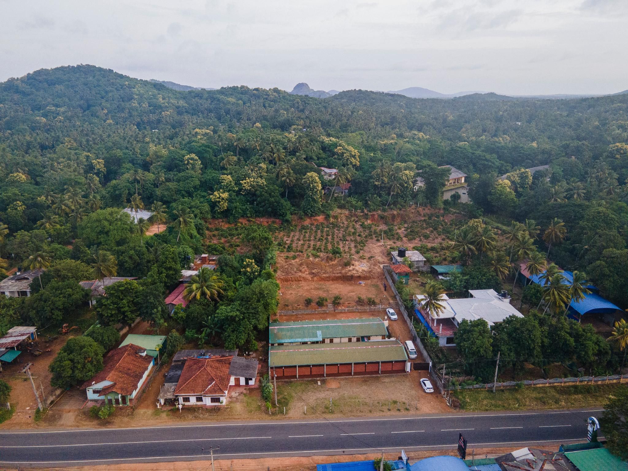 surrounding environment