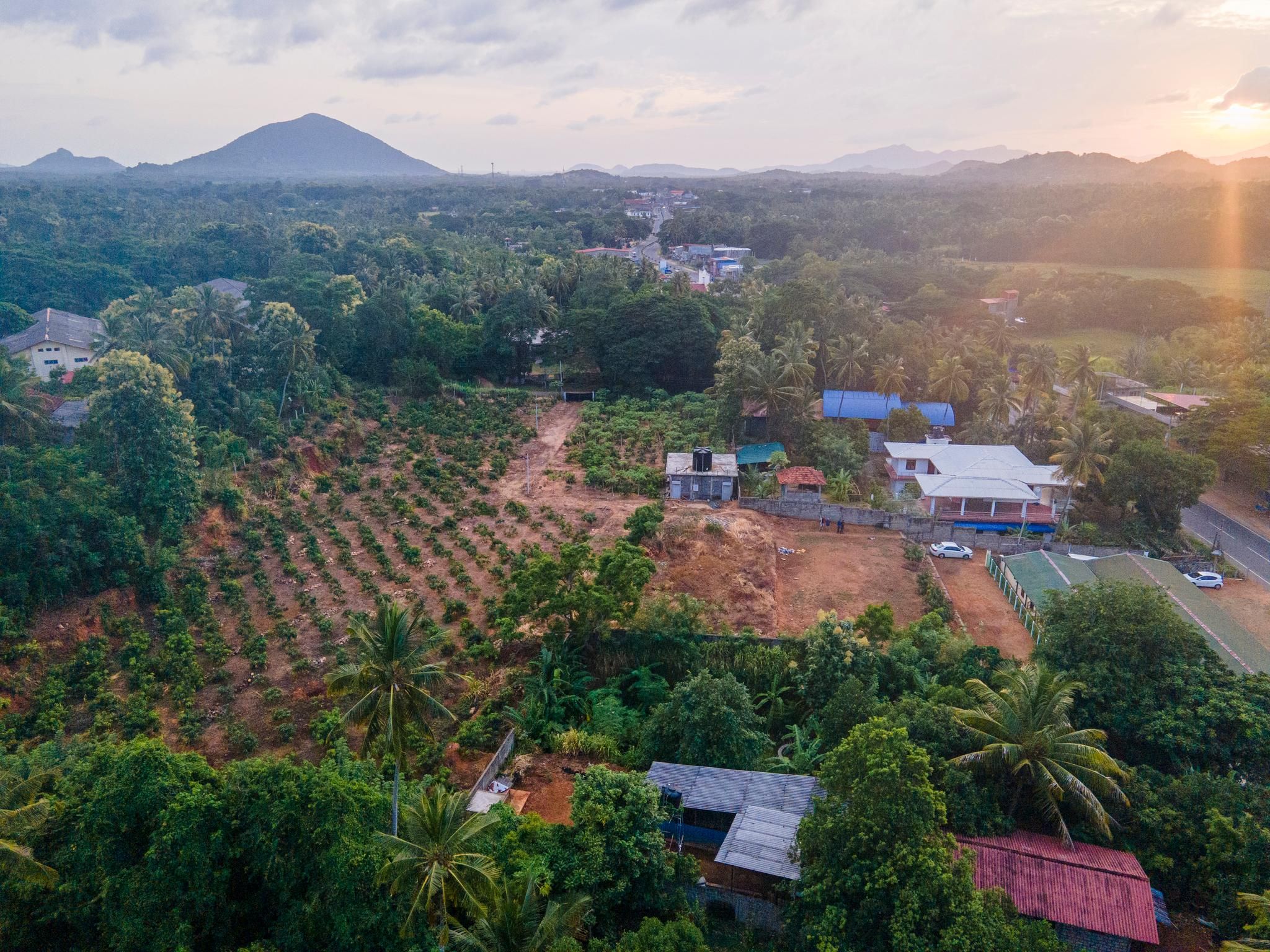 surrounding environment