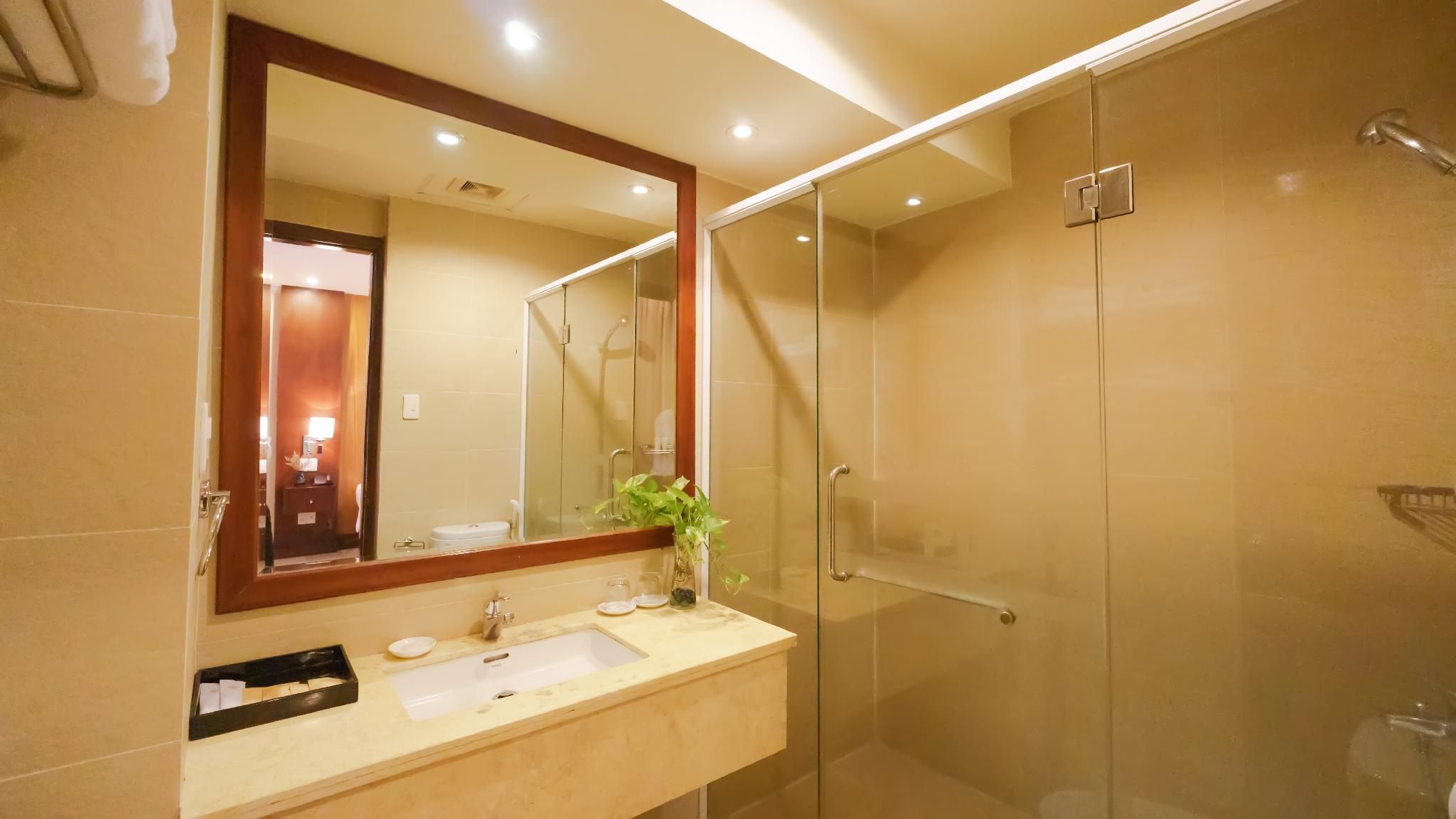 Deluxe Suite - City View