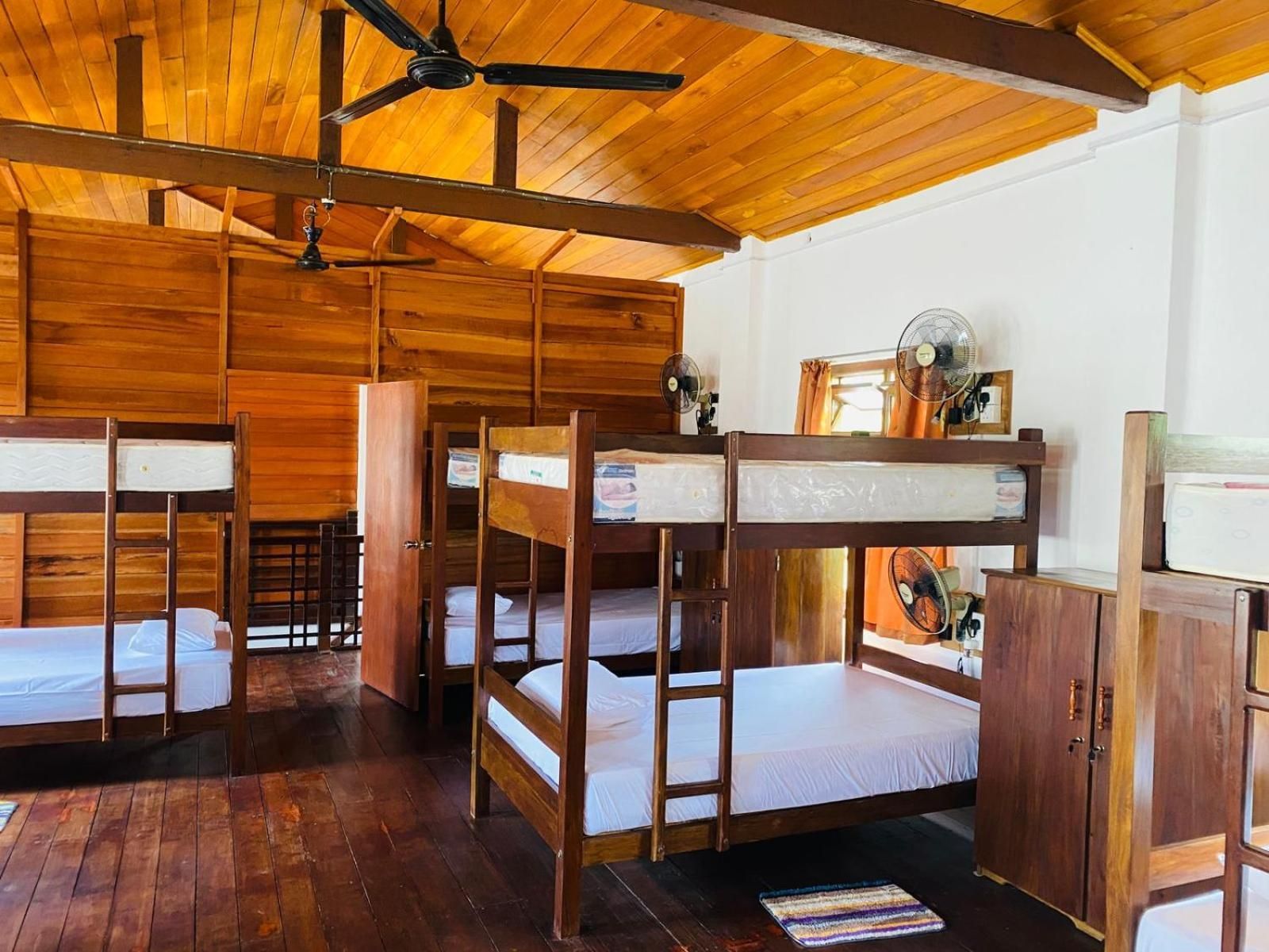 Bed in 10-Bed Mixed Dormitory Room