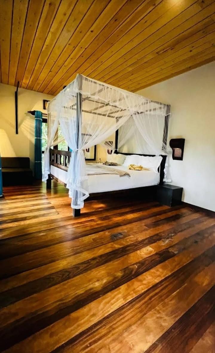 Chalet with Tea Estate View