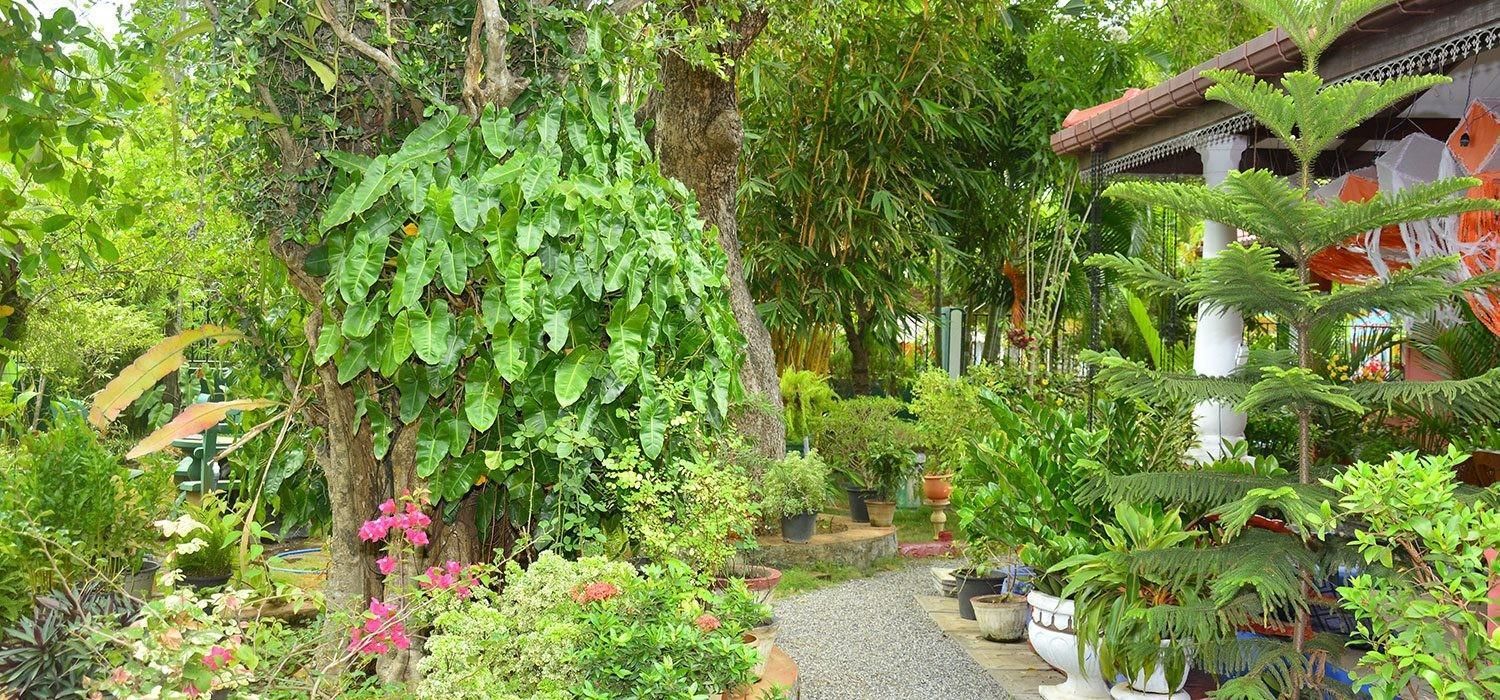 garden