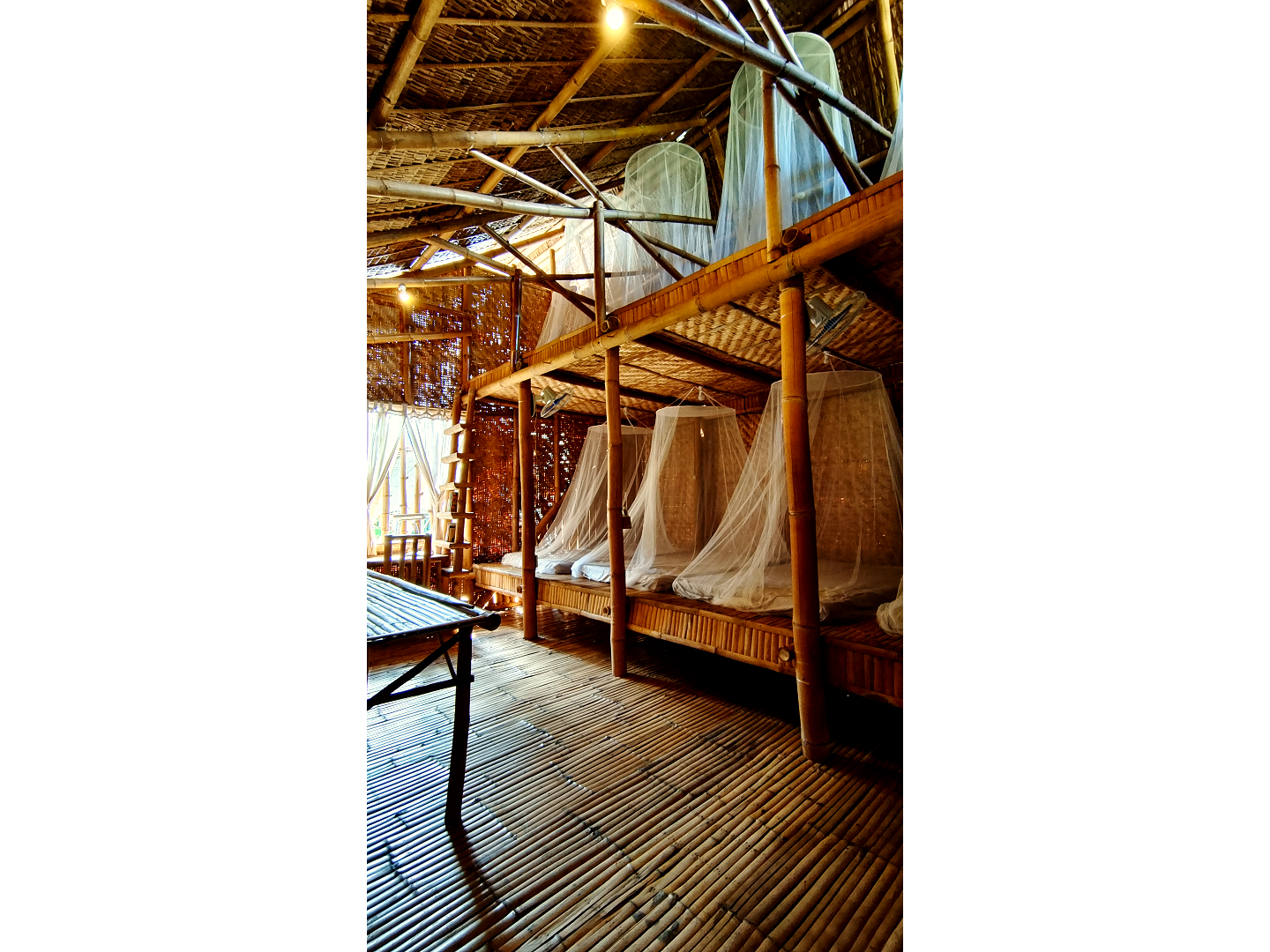 8 Bed Dormitory Room - Shared Bathroom