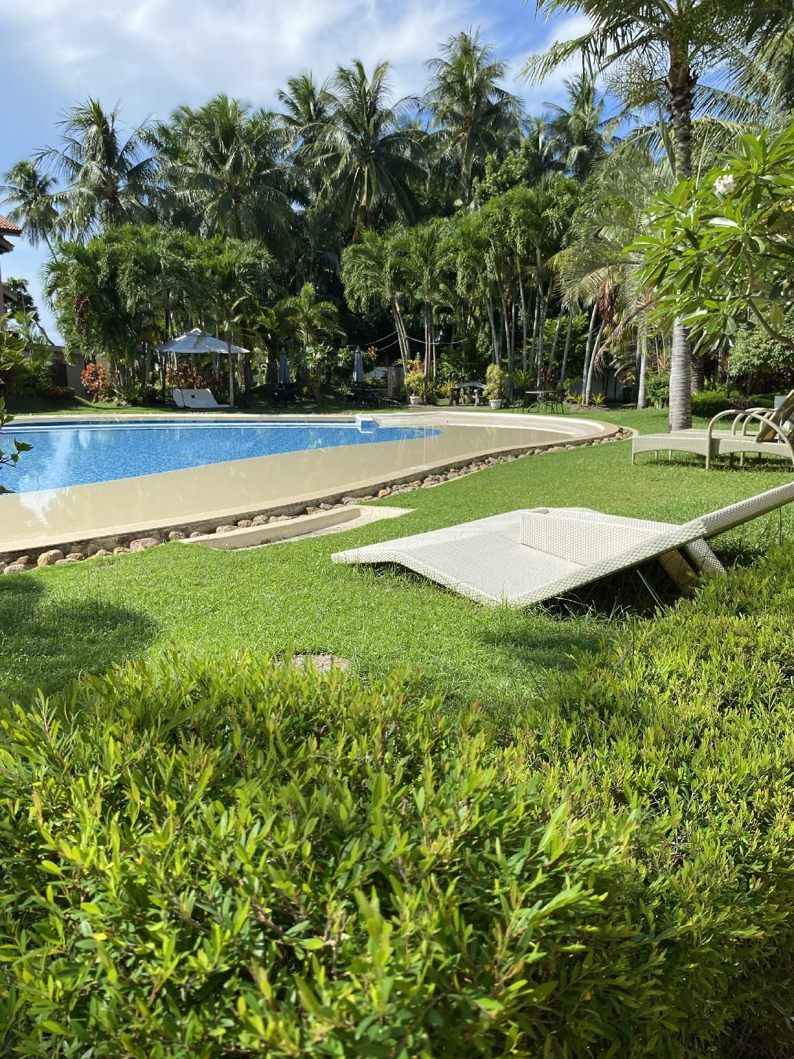 swimming pool [outdoor]