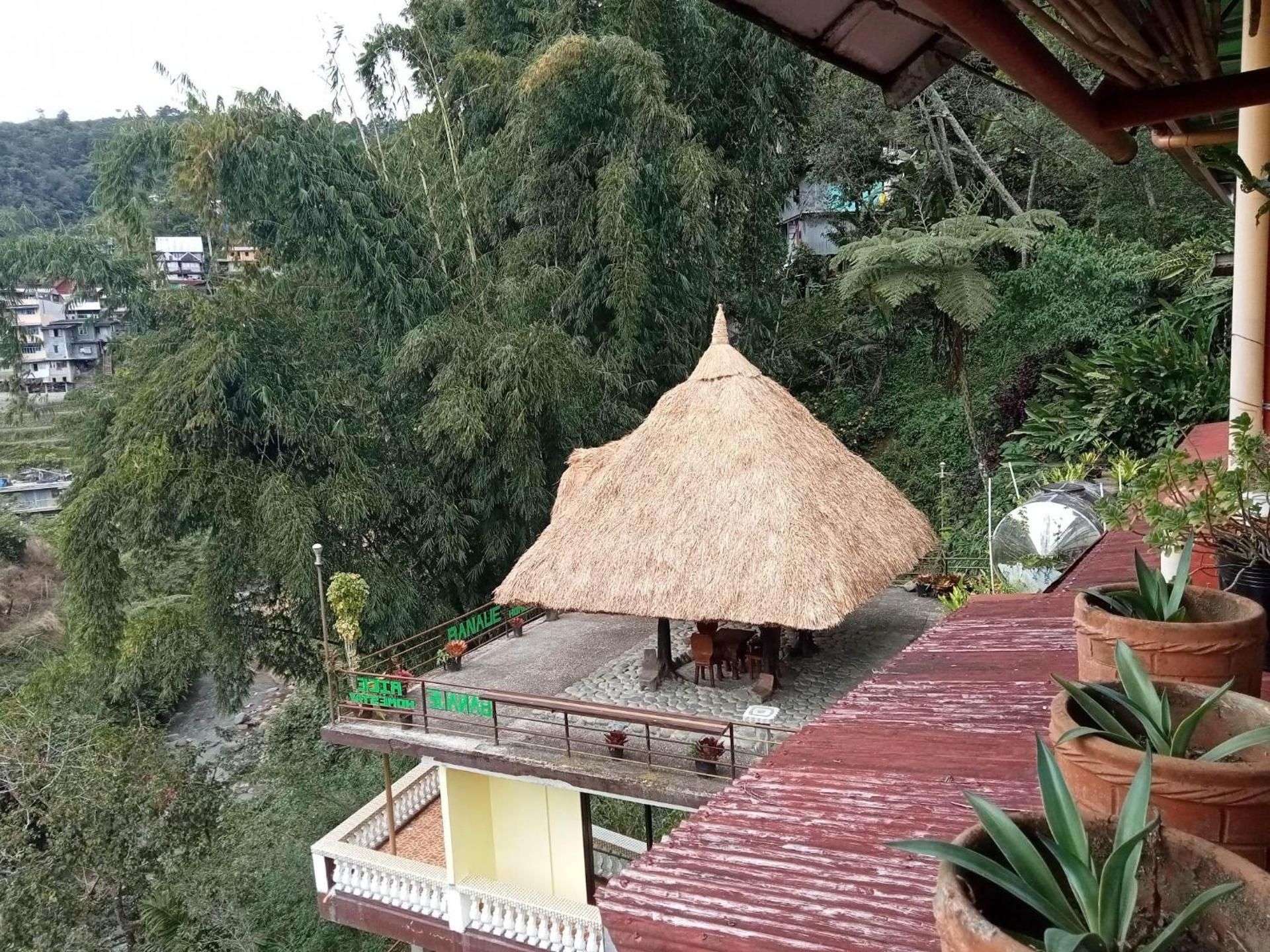 Rice Homestay Deluxe Bungalow with Garden View