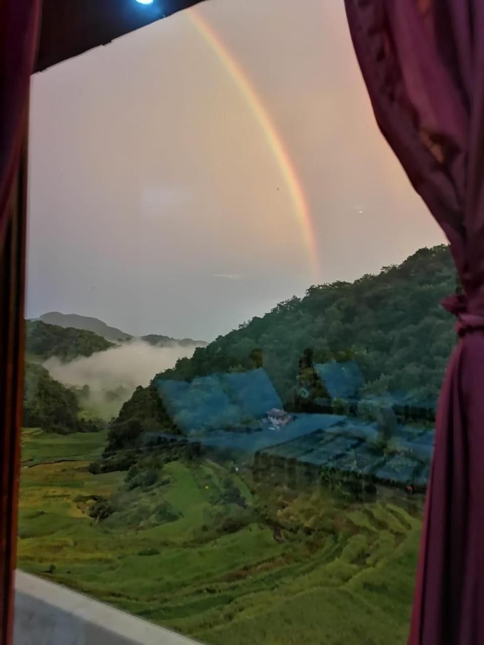Twin Room with View