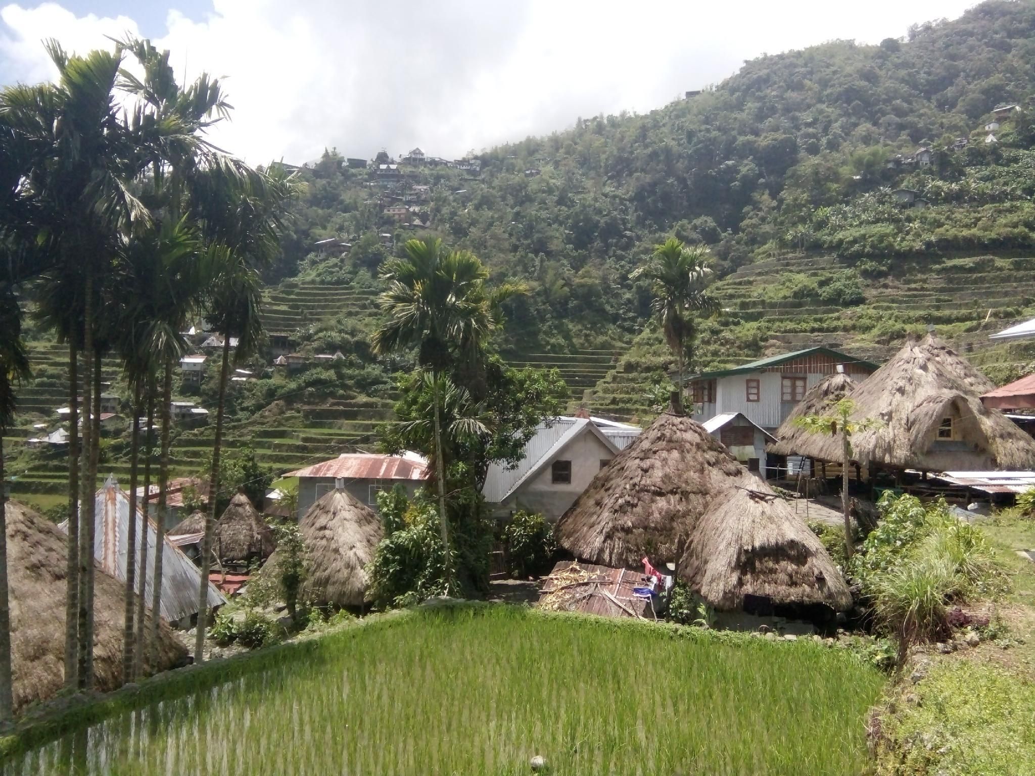 Batad village homestay