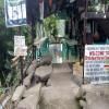 BATAD Rita's Mount View Inn and Restaurant