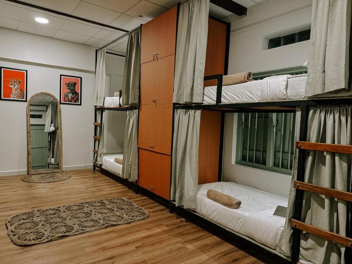 Bunk Bed in a Mixed Dormitory