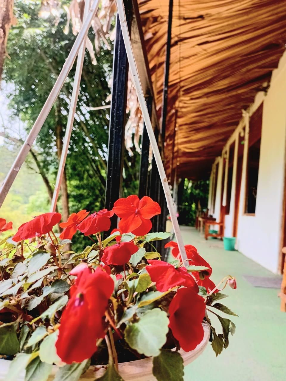 Ella Forest Bath Hostel