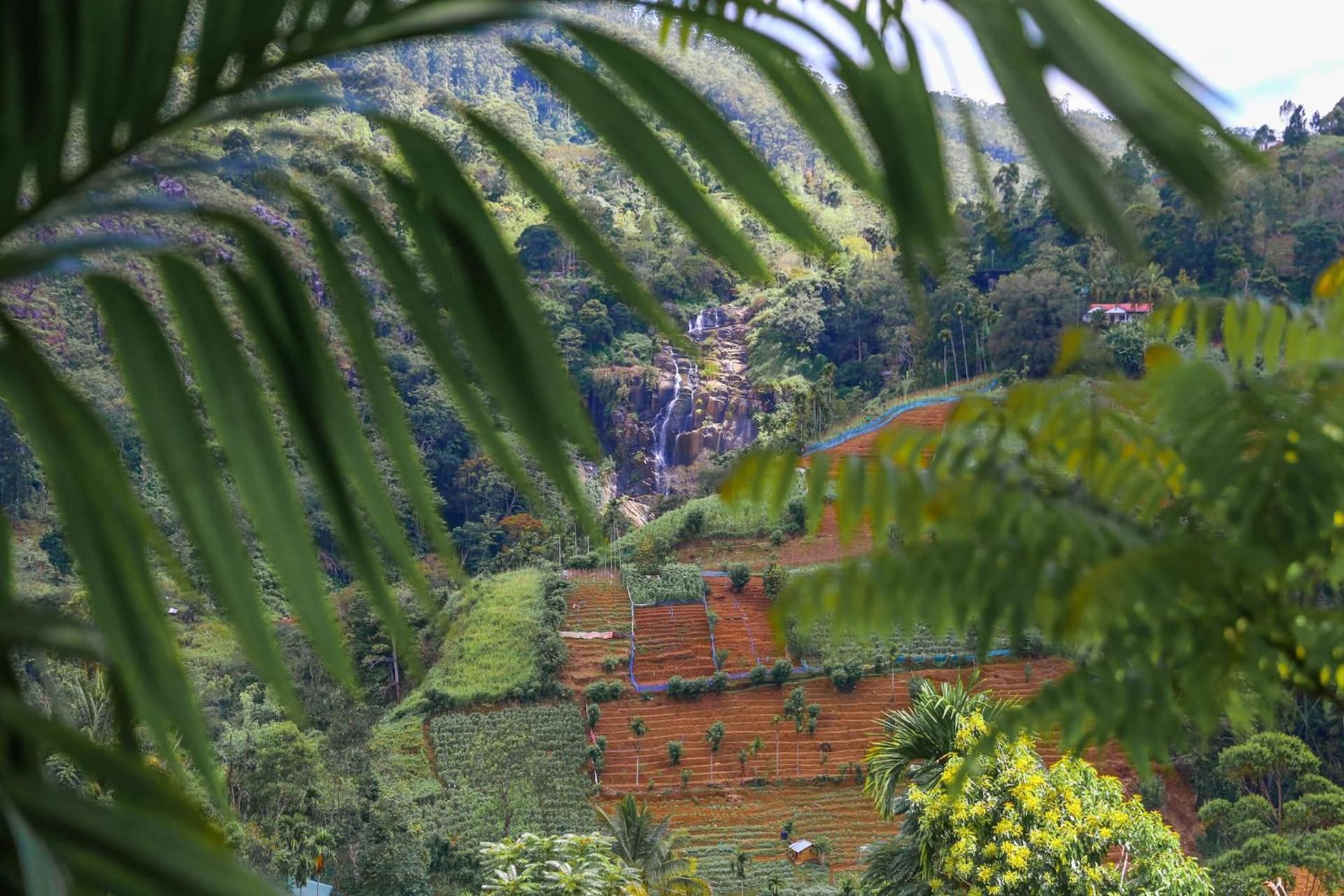 surrounding environment