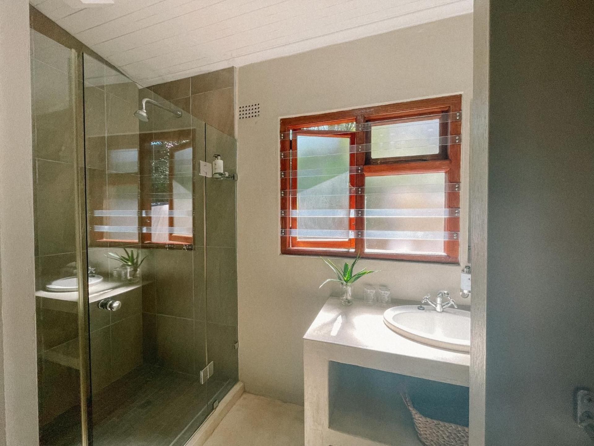 Large Double or Twin Room