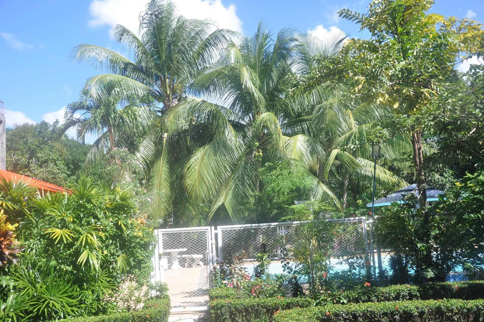 swimming pool [outdoor]