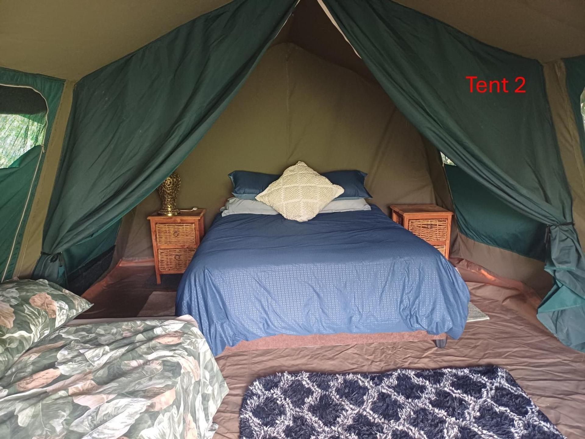 Tent (4 Adults)
