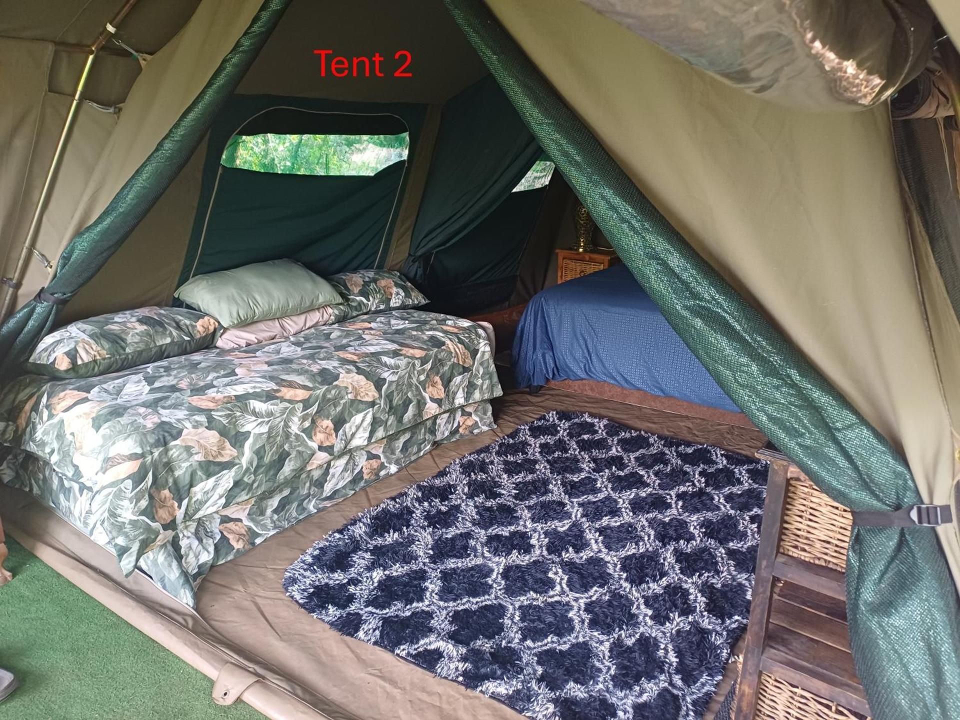 Tent (4 Adults)