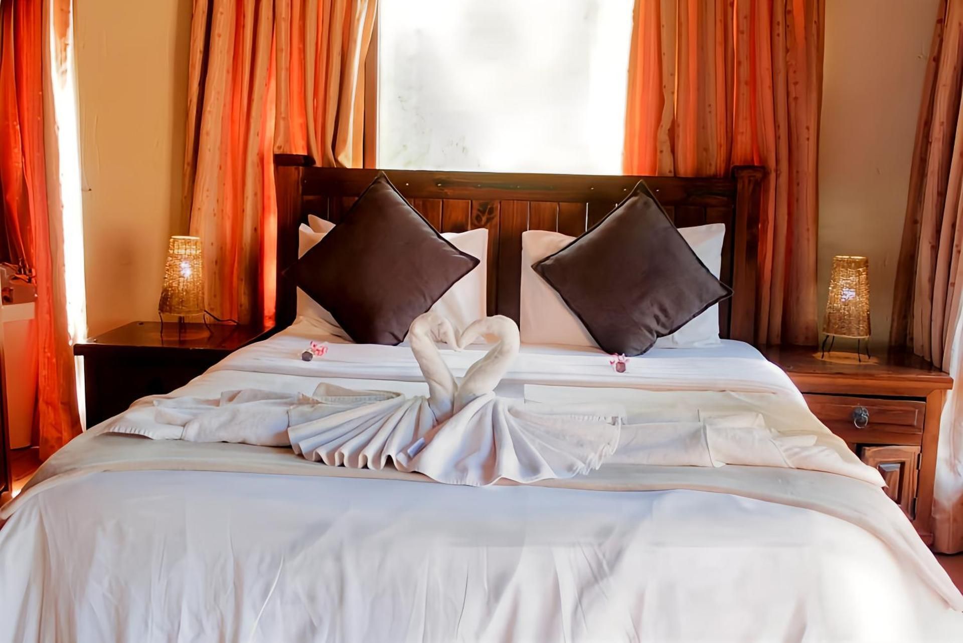 Superior Queen Room