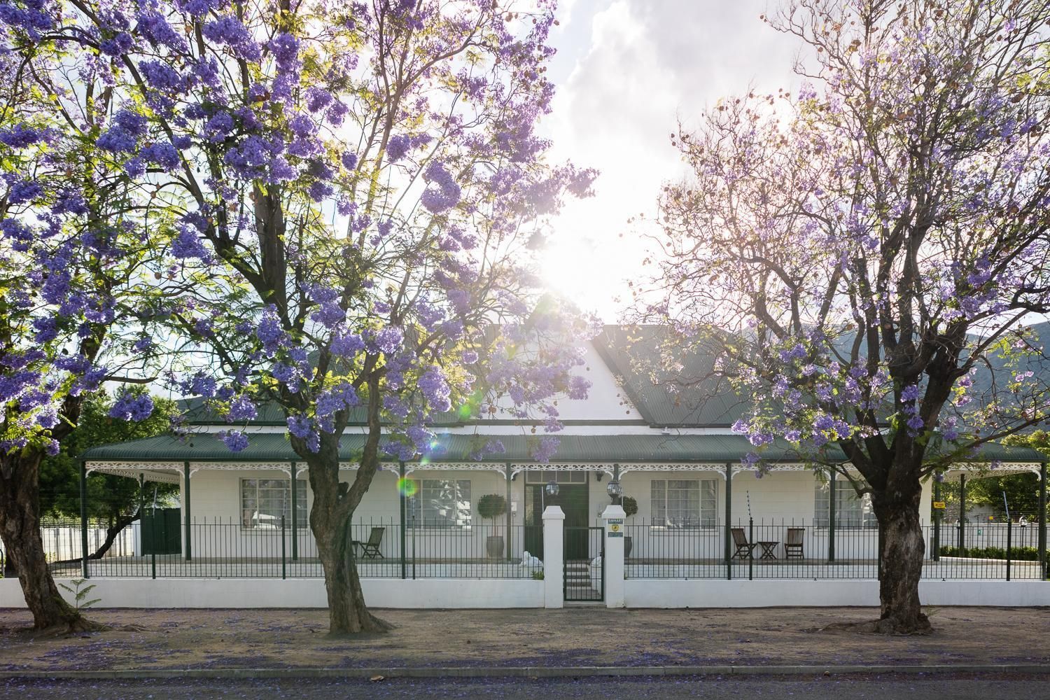 Victorian Square Guesthouse