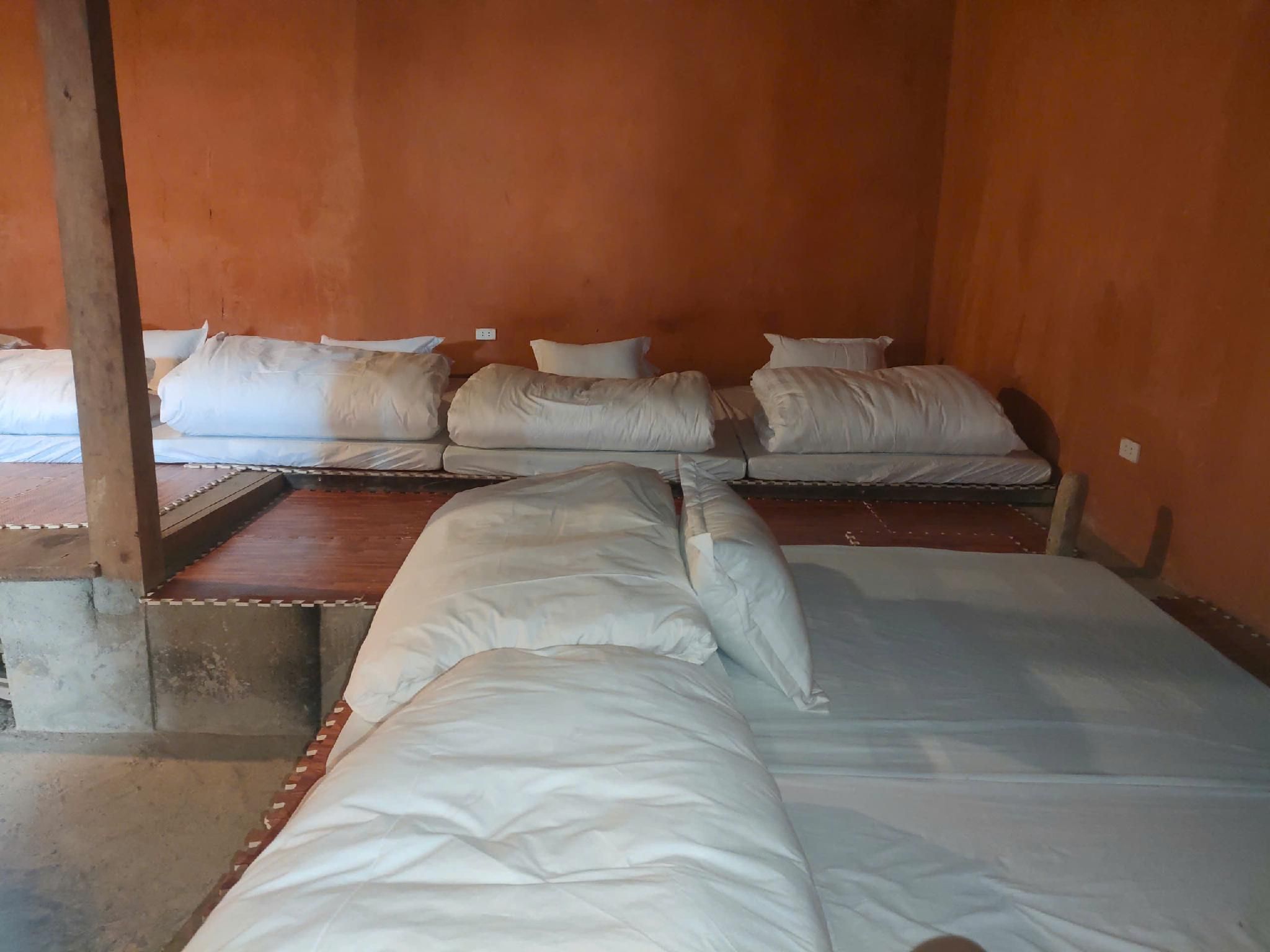 Single Bed in Mixed Dormitory Room