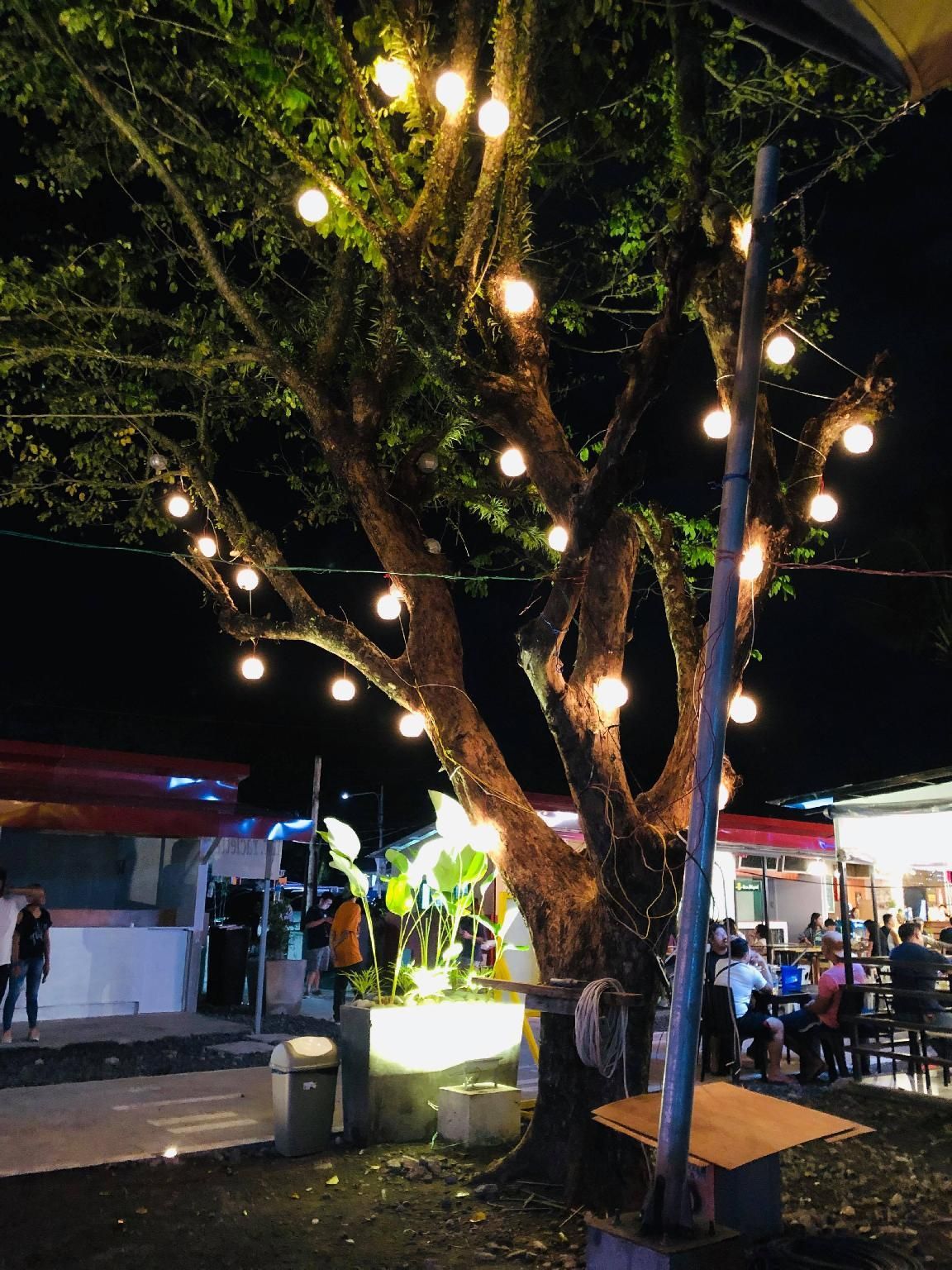 Golite Hostel-Washington