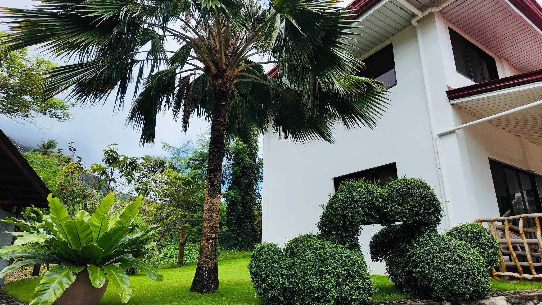 surrounding environment