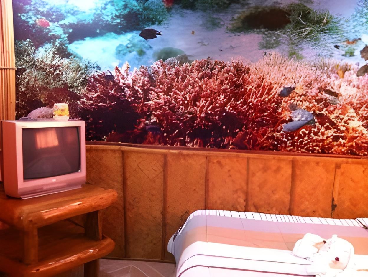 Anahaw Island View Resort Deluxe Room 2