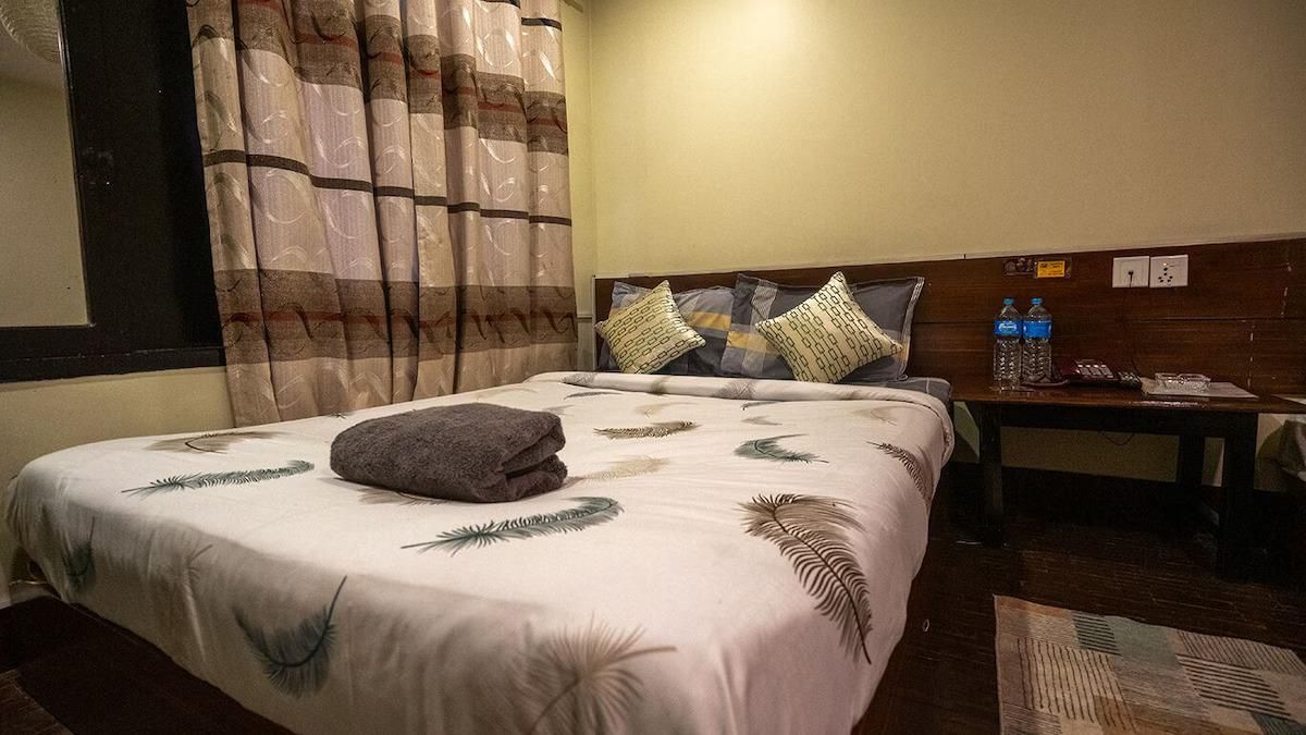 Hotel Shree Tara Double Air Conditioning 3