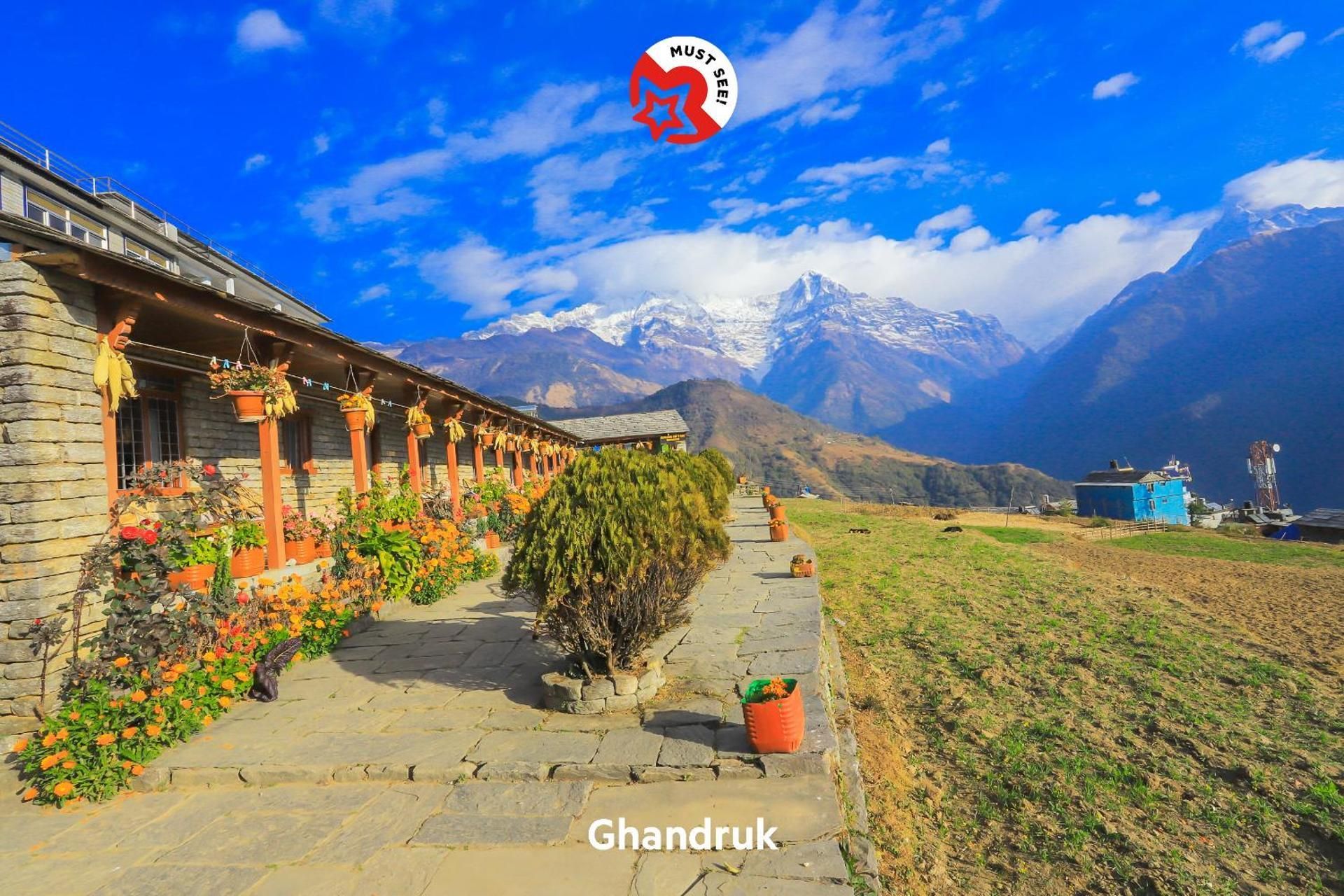 surrounding environment